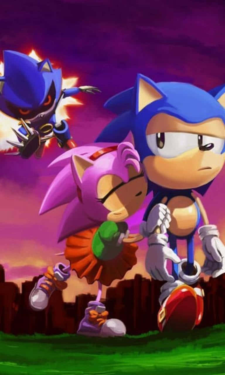 Sonic Cd 桌布 壁紙 — Sonic 和 Amy 一起站在草地上，Shadow 在他們身後飛翔，背景是紫色的日落天空。