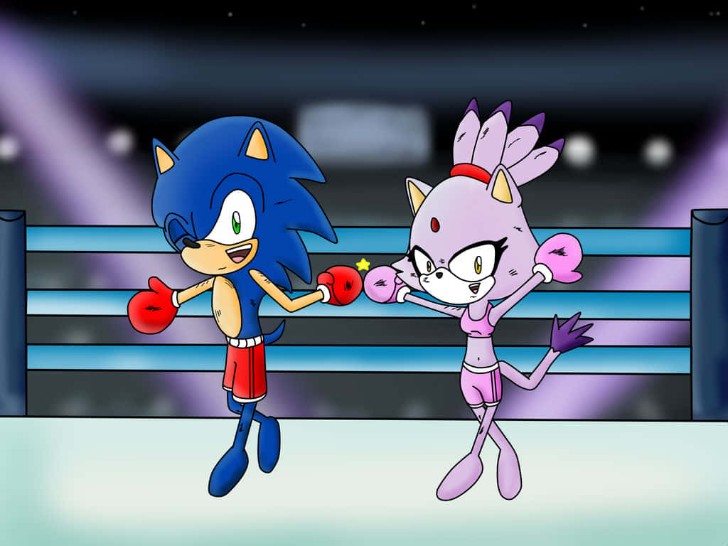 Sonic And Blaze 桌布 壁紙 — Sonic 和一隻紫色貓戰士在體育館燈光下明亮的拳擊場中對峙。