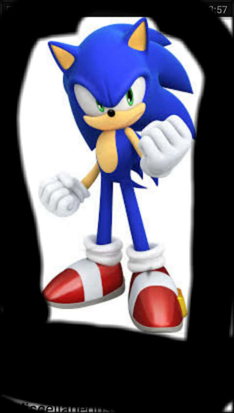 Sonicthe Hedgehog Standing Pose 壁紙