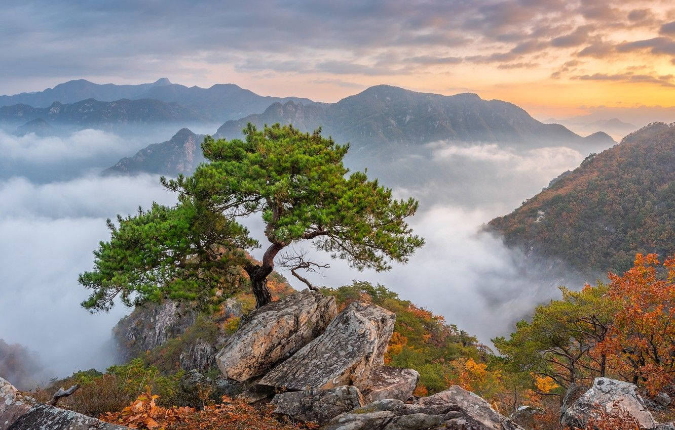 韓國霧氣山巒