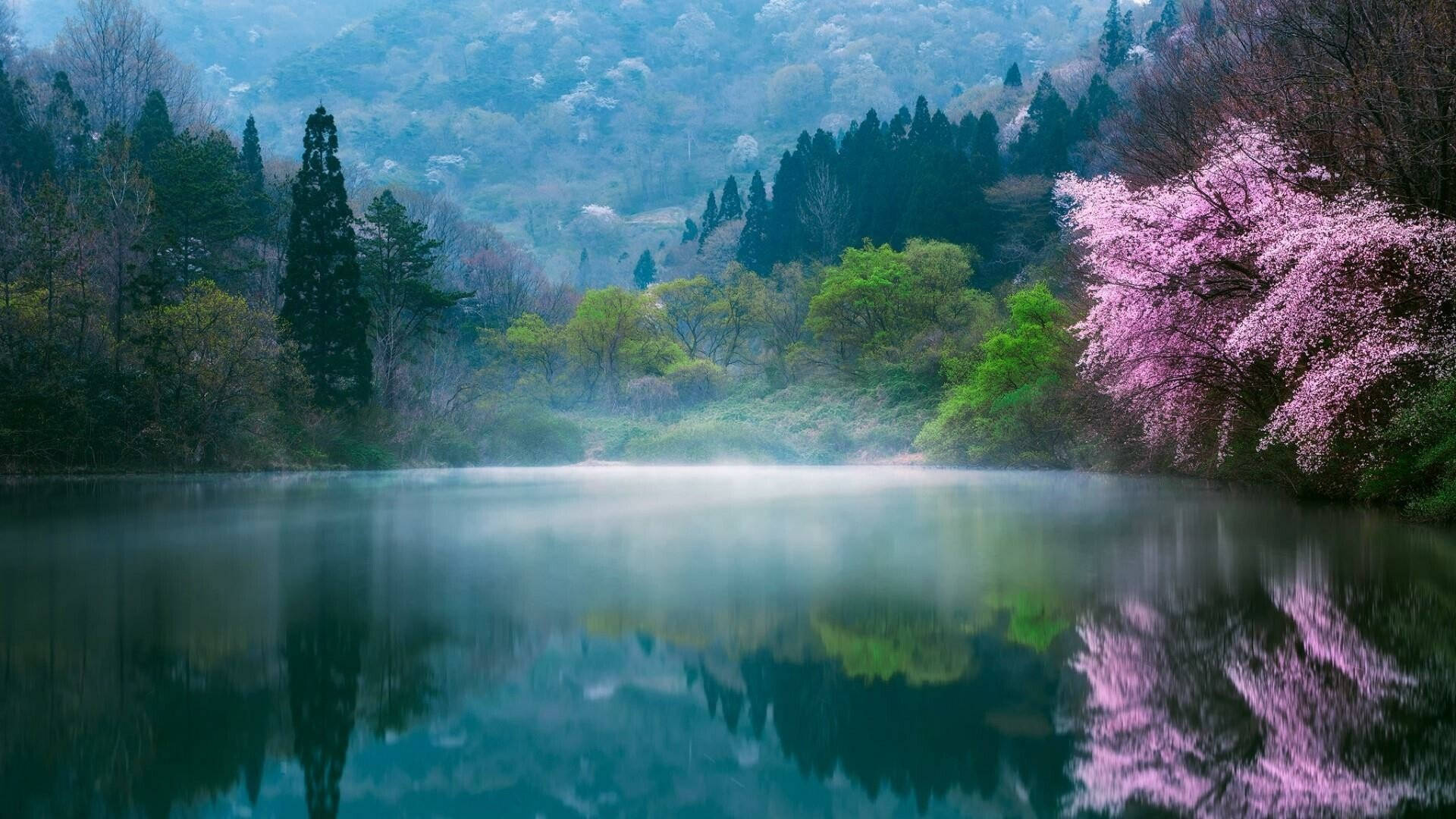 韓國湖景風光