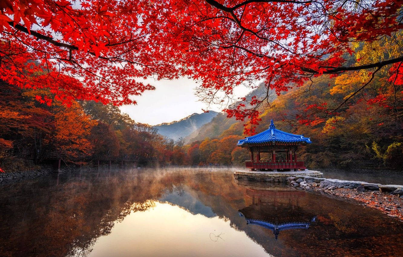 韓國那智山國家公園秋季風景高清壁紙