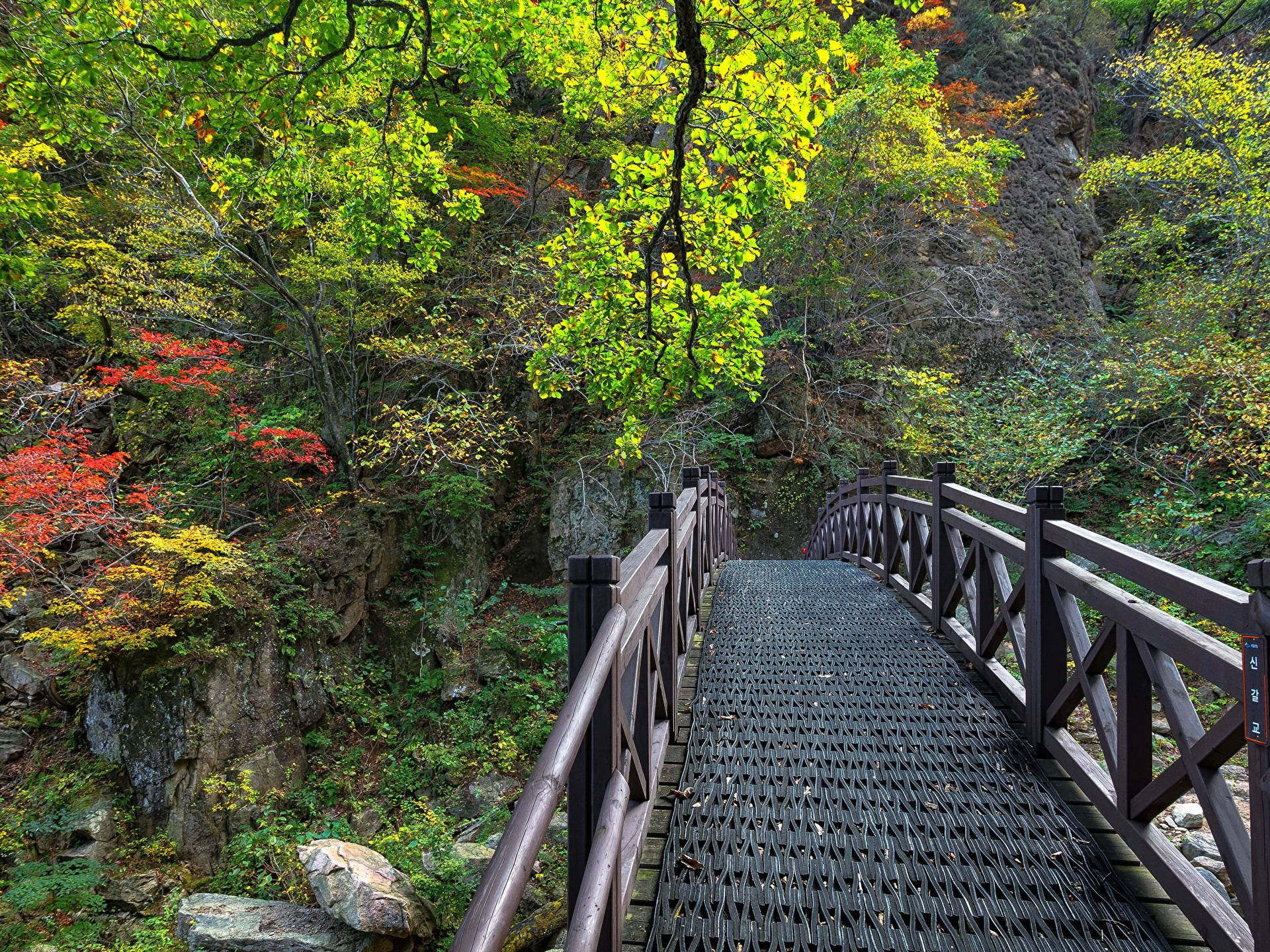 韓國雪岳山國家公園木橋