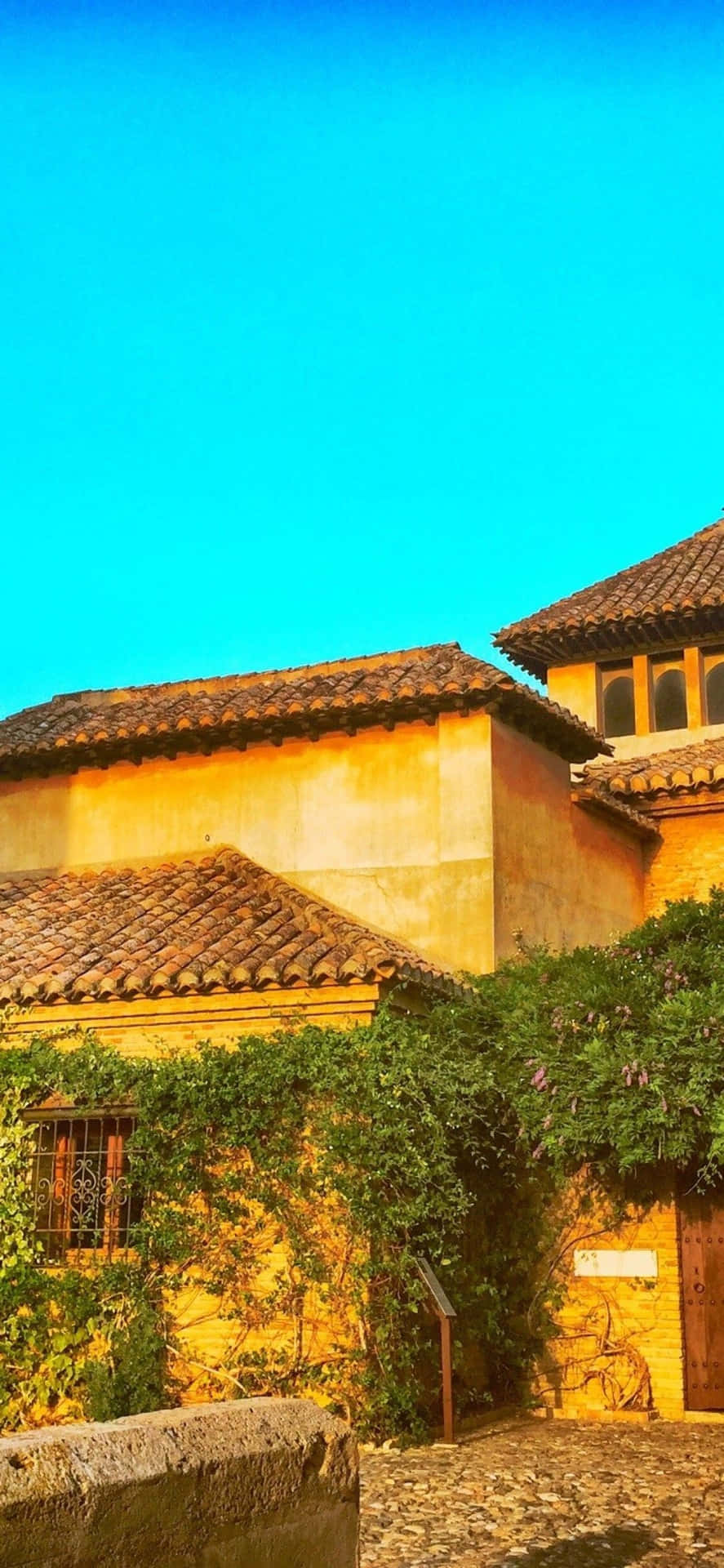 陽光普照的歷史建築，擁有常春藤和陶土屋頂，在清澈的藍天下。