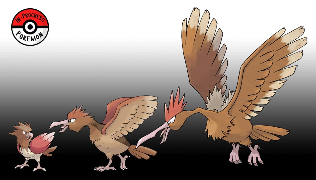 寶可夢 Spearow 演化形態 壁紙 — 三個插圖化的寵物小精靈鳥類進化階段，在漸變背景前並排顯示。