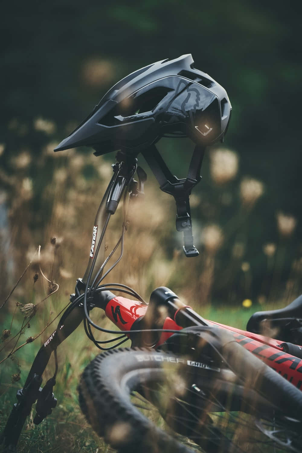 地上的Specialized山地自行車 壁紙 — 一個黑色山地單車頭盔掛在一輛紅色單車的把手，周圍是陽光照耀的草地和模糊的野花。
