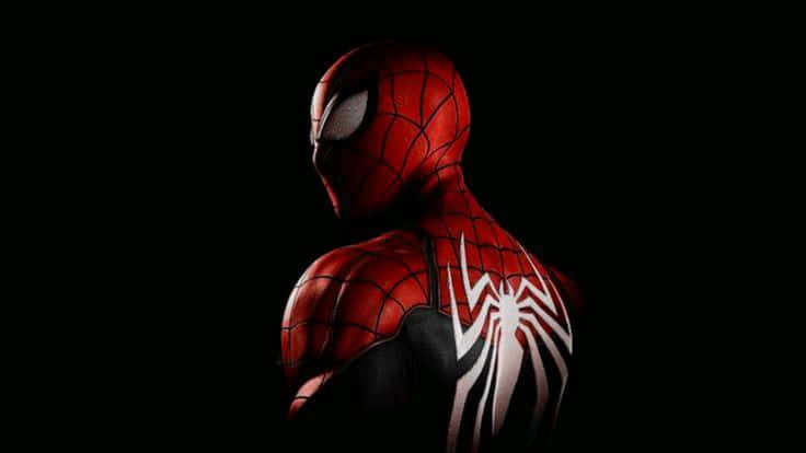 SPIDERMAN 壁紙 — 一個身穿紅黑相間、帶有白色蜘蛛標誌服裝的超級英雄，在深色背景下側面站立。