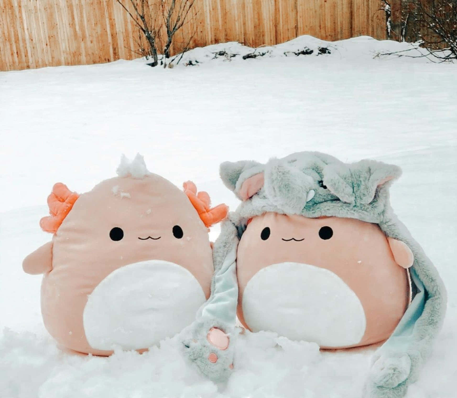 粉紅色Squishmallow雪景後院背景 壁紙 — 兩隻可愛的粉紅色毛絨六角恐龍，帶有橙色鰓，並排坐在雪地庭院中，戴著灰色龍帽。