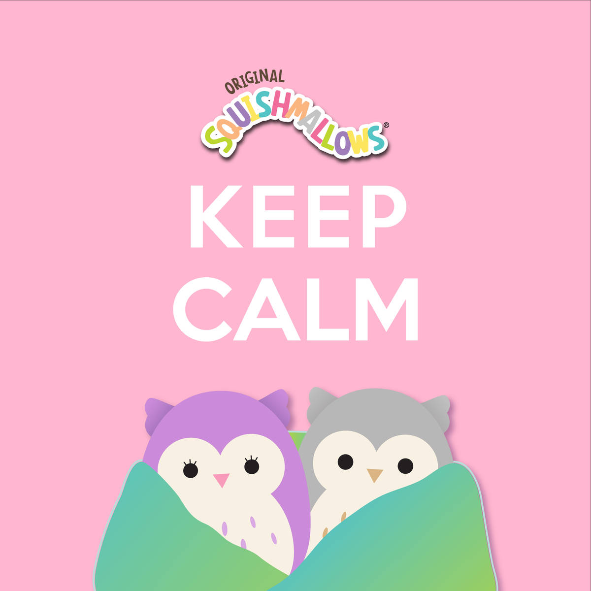 Squishmallows貓頭鷹情侶封面 壁紙 — 兩隻可愛的卡通貓頭鷹從毯子下探出頭來，毯子上有「KEEP CALM」文字和「Squishmallows」標誌，背景為粉紅色。