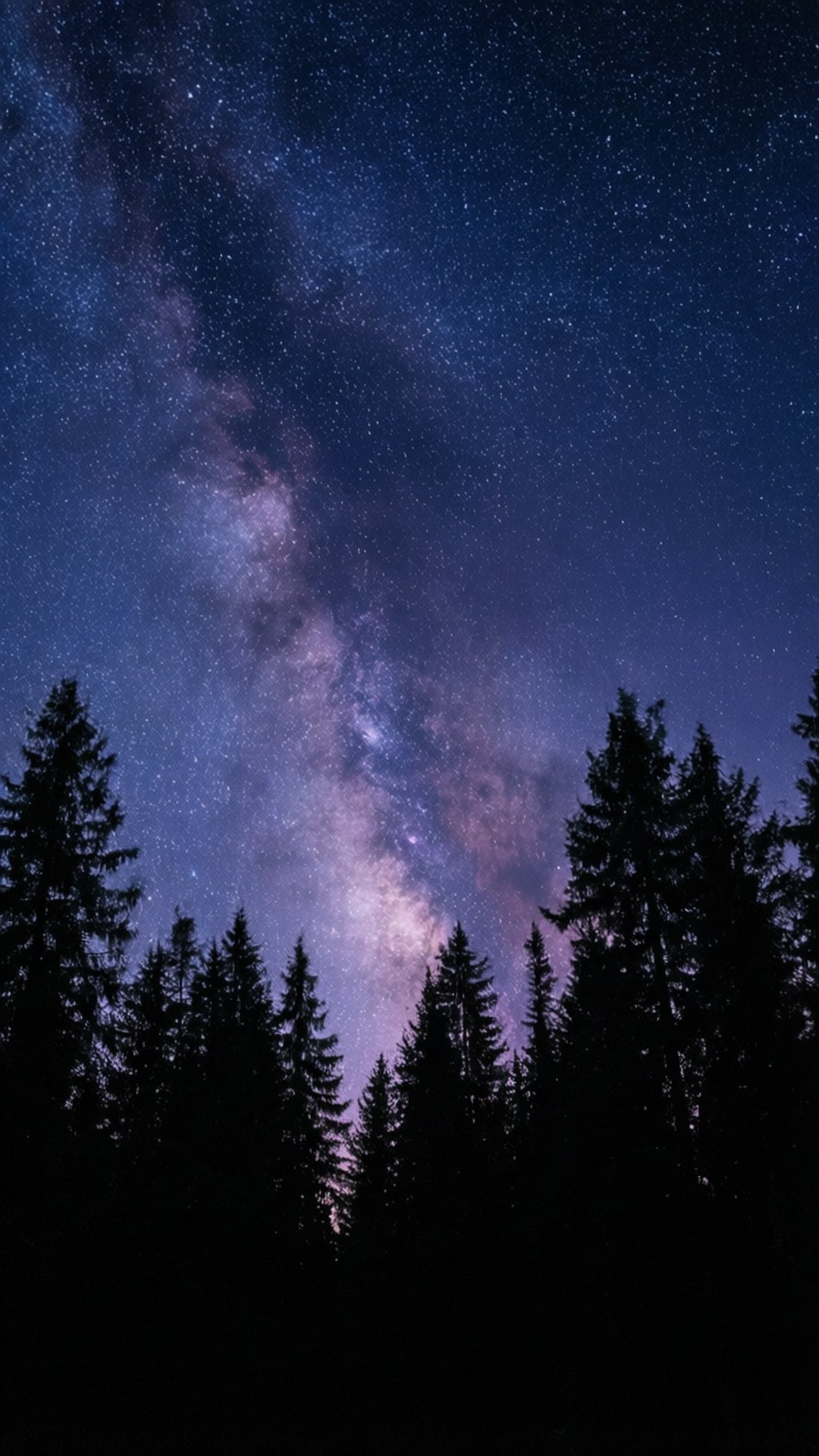 深色松樹在充滿活力的星空下形成剪影，銀河在上方閃耀。