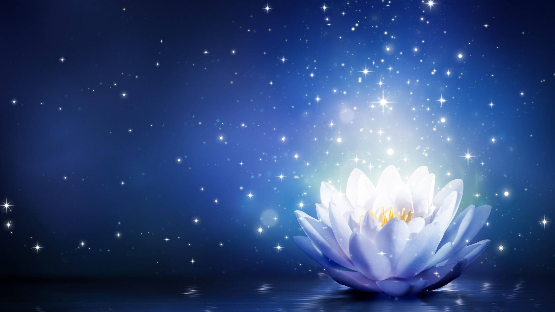 星空蓮花數位藝術