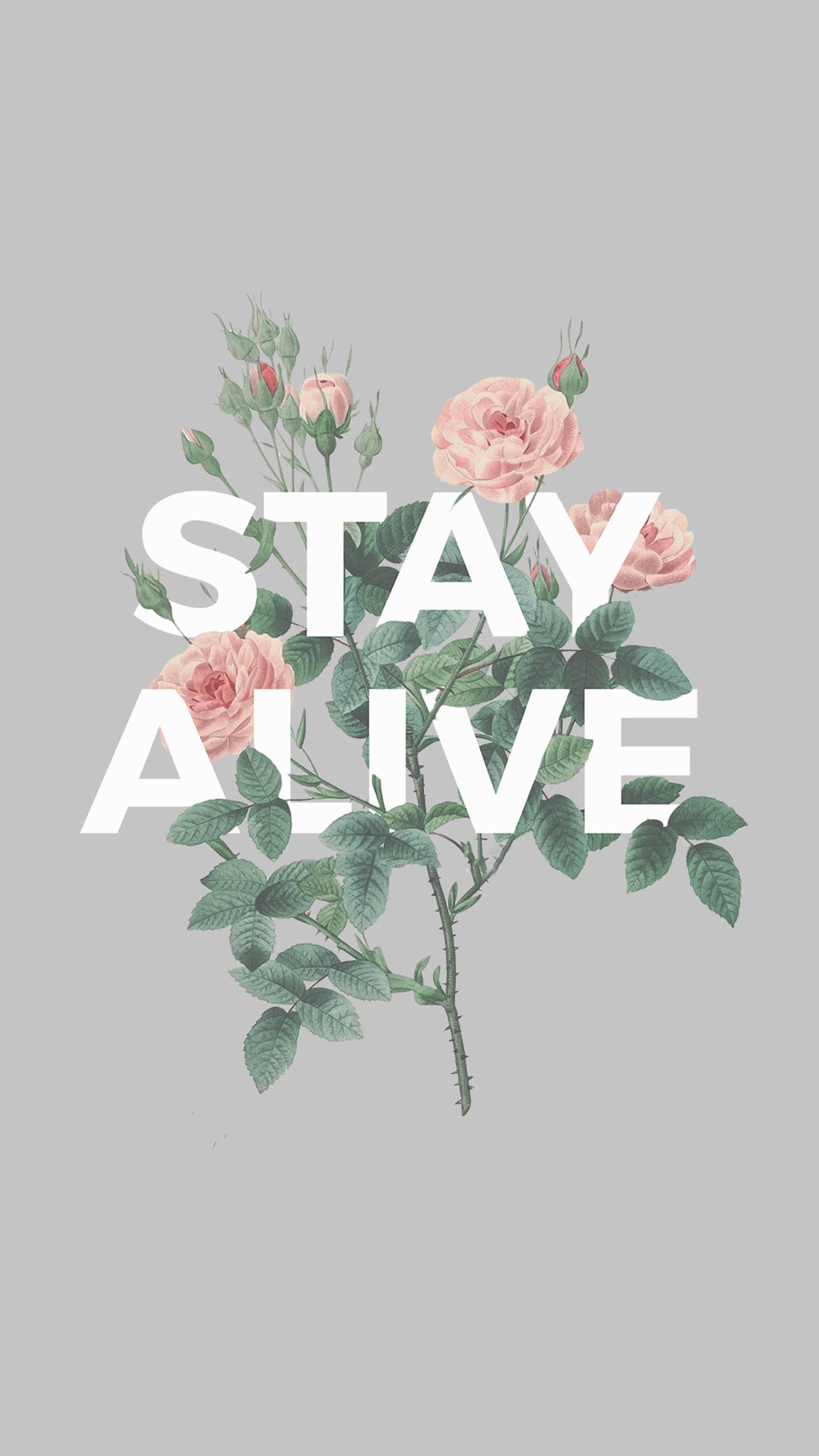Stay Alive 時尚 iPhone 壁紙 — 粉紅玫瑰和綠葉圍繞著粗體白色文字 'STAY ALIVE'，背景為柔和的灰色。