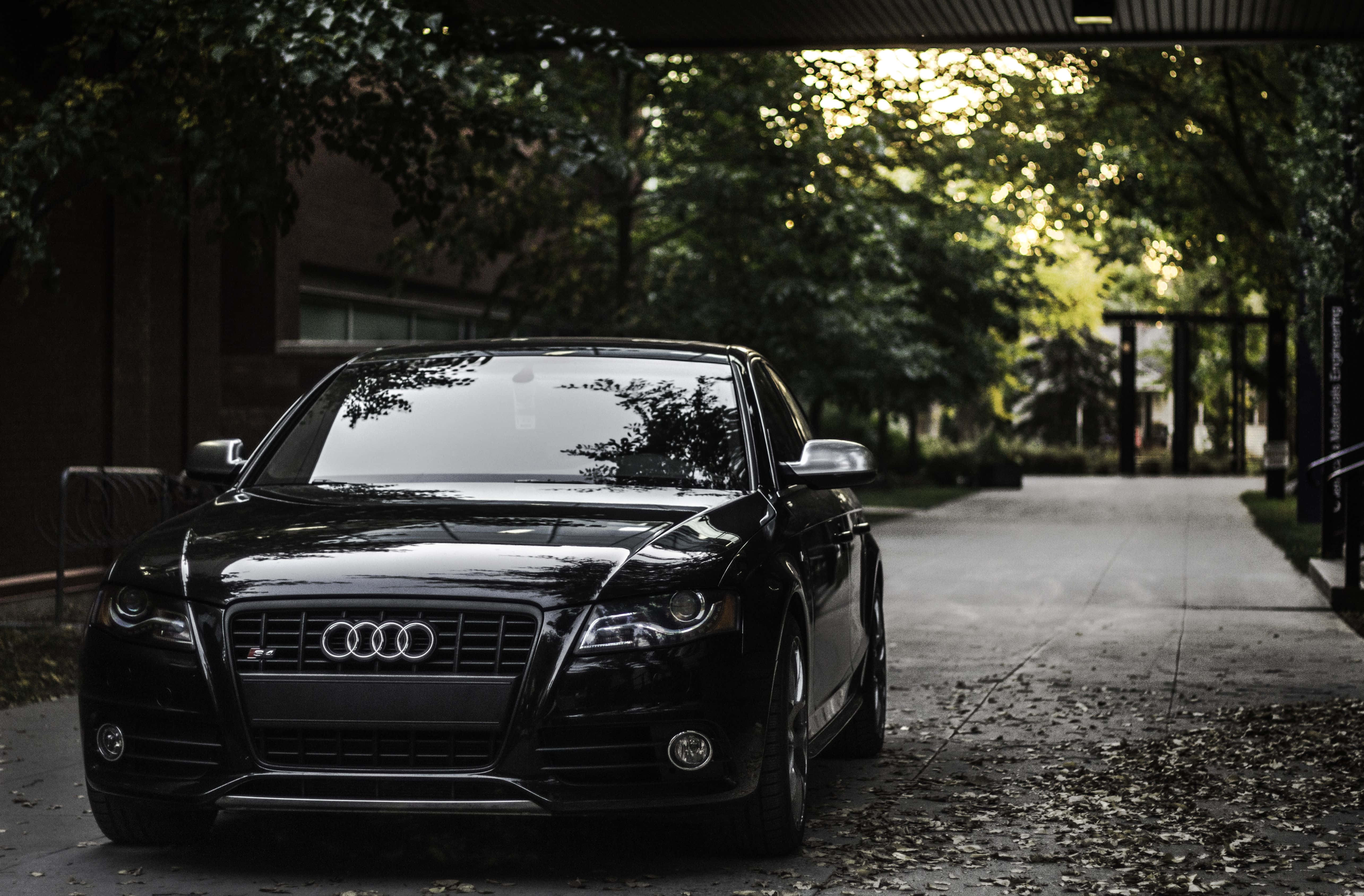 Audi S4 桌布 壁紙 — 一輛時尚的黑色奧迪轎車停泊在樹冠下，斑駁的陽光穿過樹葉灑落。