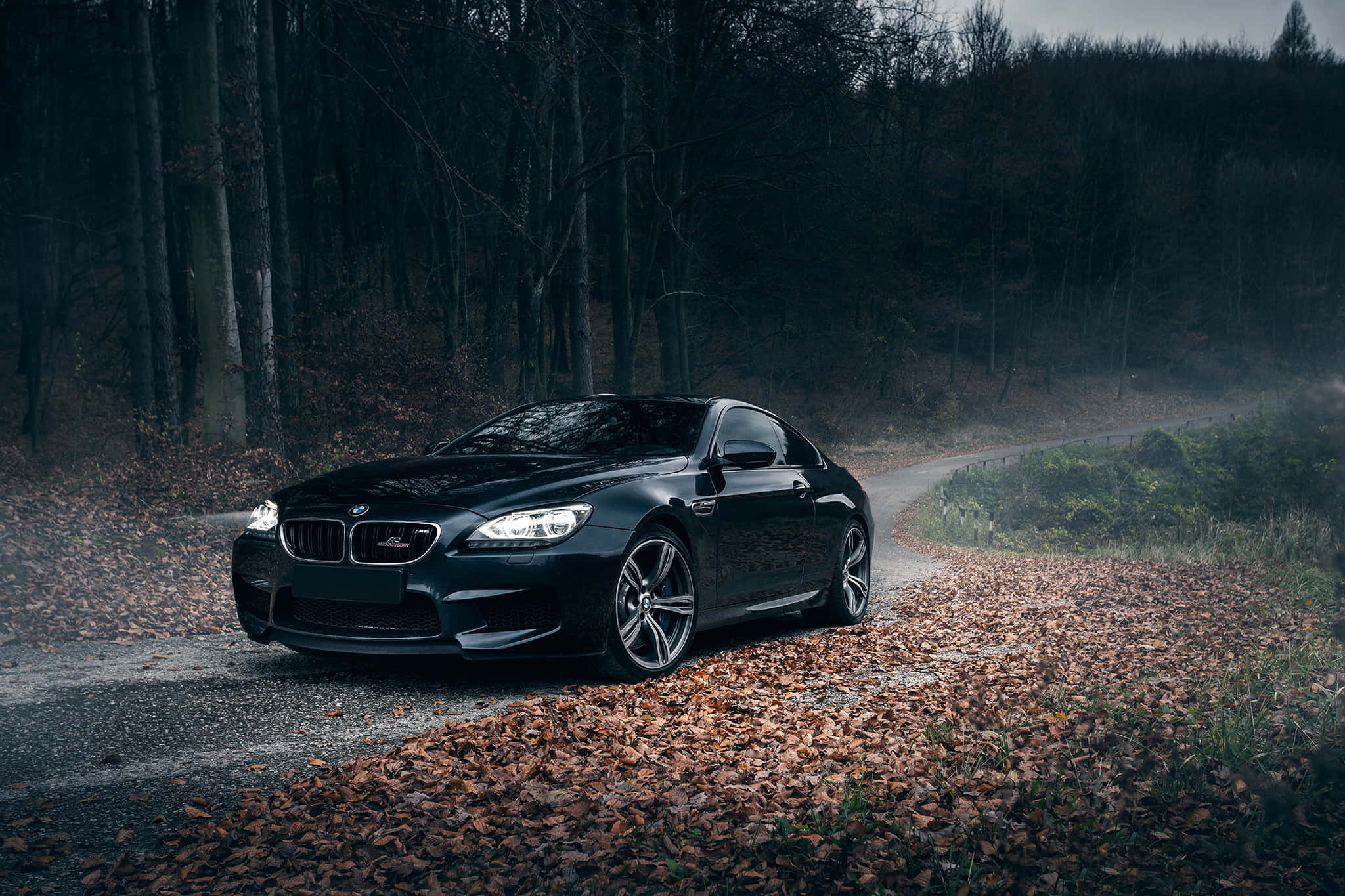 Bmw M6 桌布 壁紙 — 一輛時尚的黑色BMW M6轎跑車沿著一條霧氣瀰漫、鋪滿落葉的森林道路行駛。