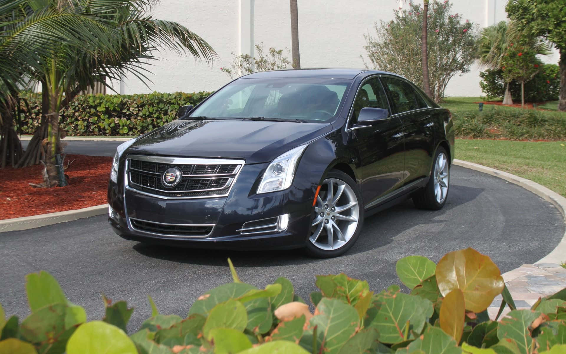 Cadillac Xts 桌布 壁紙 — 一架時尚的黑色凱迪拉克轎車停泊在彎曲的車道上，周圍環繞著茂密的綠植和棕櫚樹。