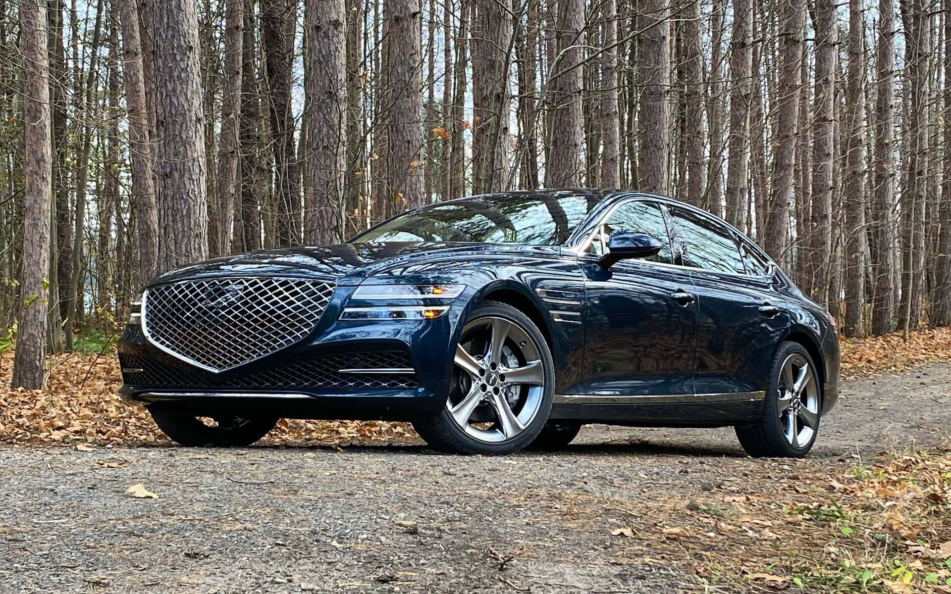 Genesis G80 桌布 壁紙 — 一架時尚深藍色豪華轎車停泊在森林中一條被高大禿樹環繞的碎石路上。