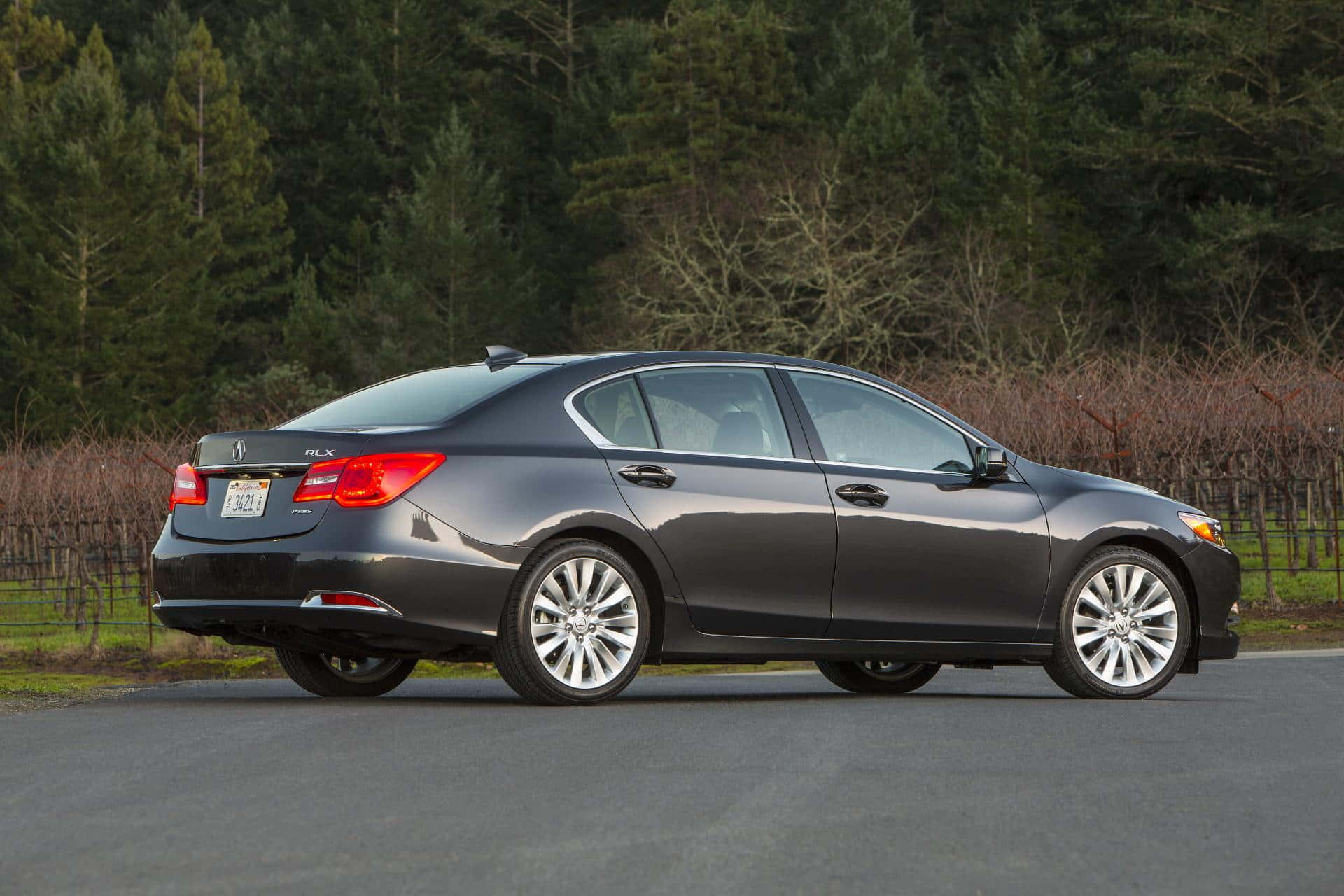 Acura Rlx 桌布 壁紙 — 一輛時尚的深灰色Acura TLX轎車停在瀝青路上，背景是茂密的常綠樹和休眠的葡萄藤。