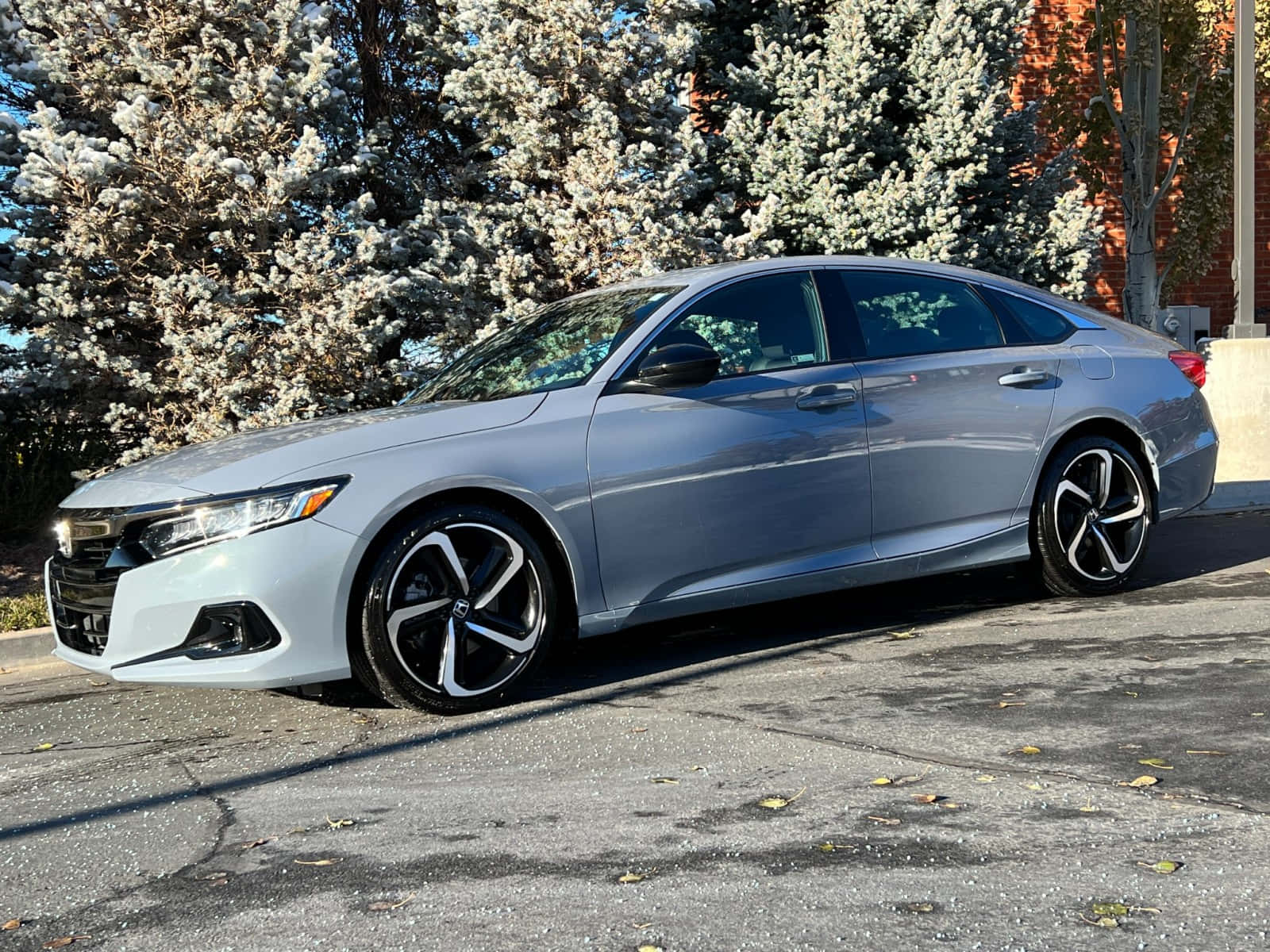 Honda Accord 桌布 壁紙 — 一架時尚的銀色本田雅閣房車停在瀝青路上，背景有結霜的常綠樹和磚砌建築。