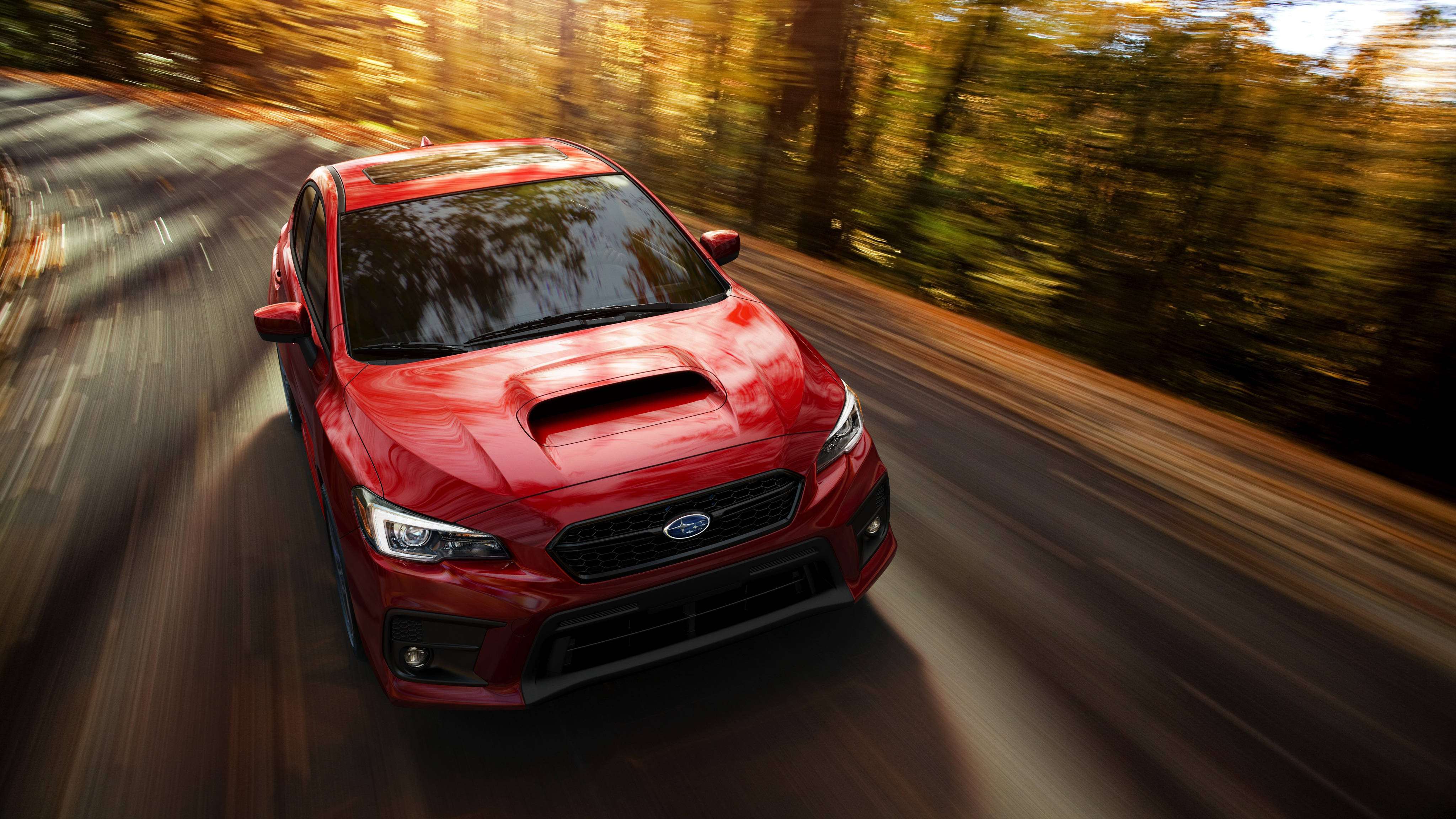 Subaru 2018 Impreza 路上行駛 壁紙 — 一輛充滿活力的紅色Subaru WRX在森林道路上疾馳，金色的秋葉在運動中模糊掠過。