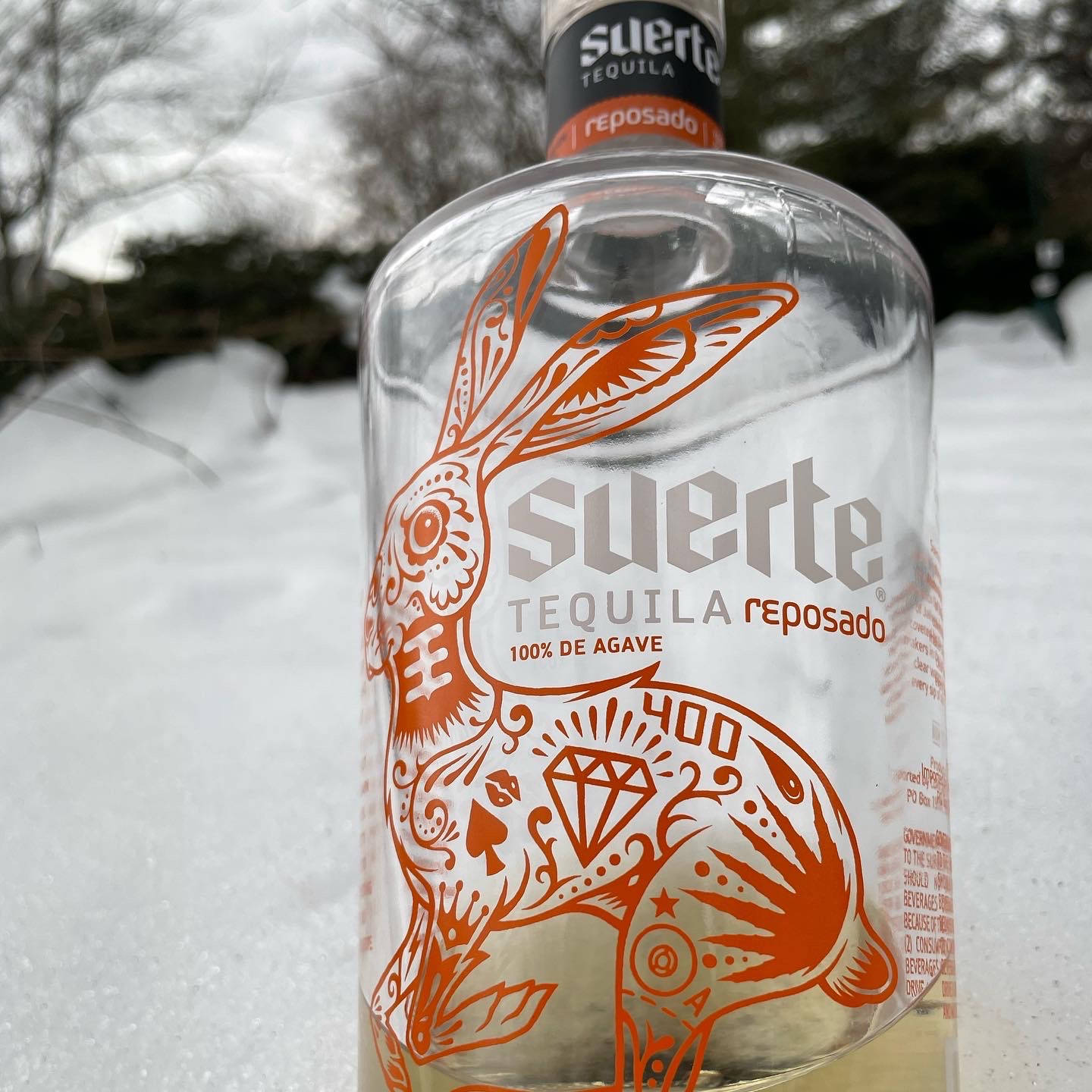 雪地冬季環境中帶有橙色兔子圖案的龍舌蘭酒瓶。