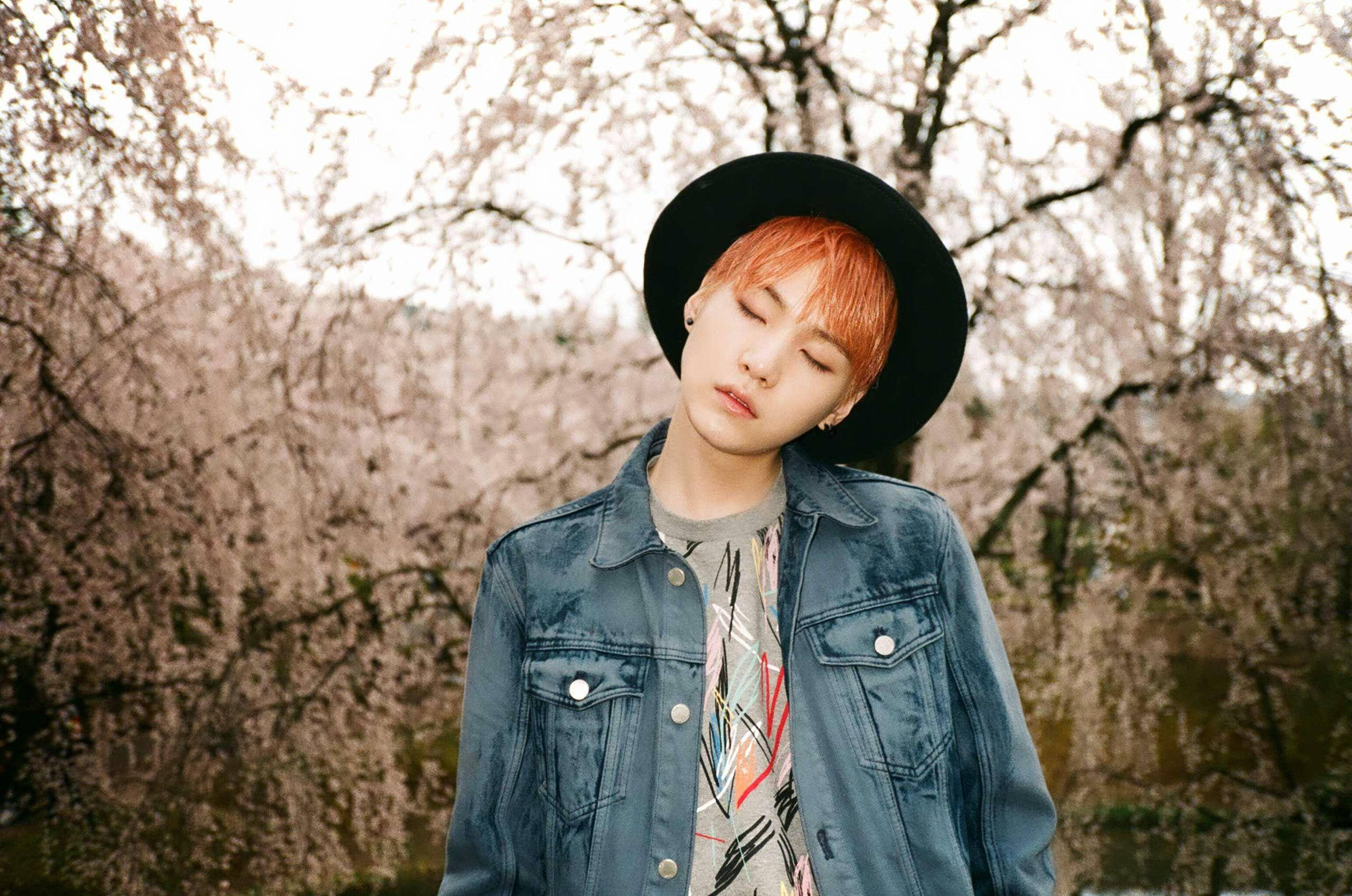 Suga BTS 概念照 壁紙 — 一個橙色頭髮、戴黑色帽子的人，在柔和日光下靜靜地站在盛開的櫻花樹下。