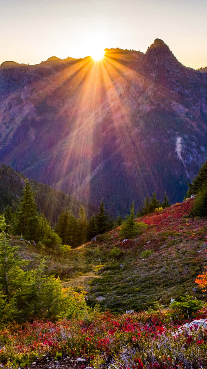  壁紙 — 陽光穿透山峰，下方的秋葉以鮮豔的紅色和綠色閃耀。