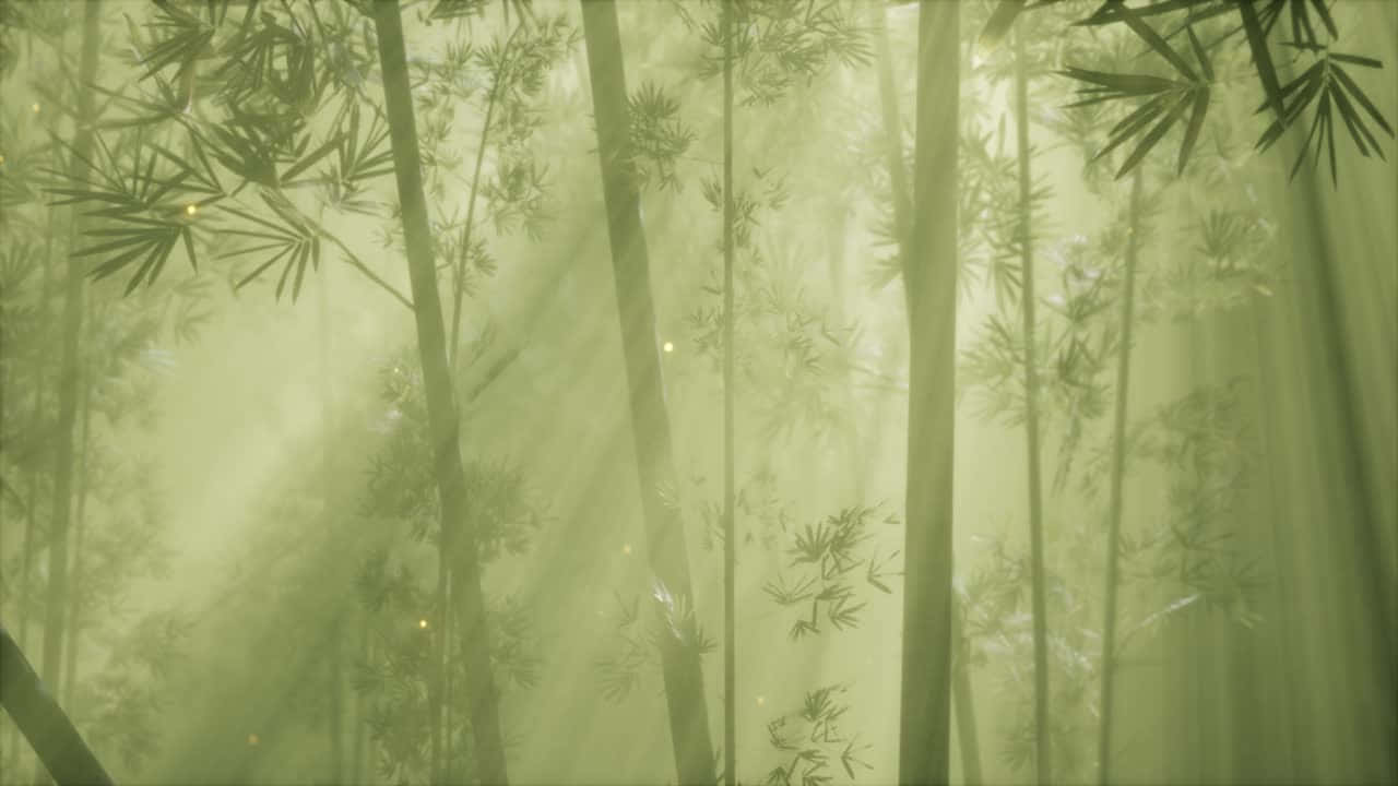  壁紙 — 陽光穿過霧氣森林中高聳的竹莖，營造出寧靜而空靈的氛圍。
