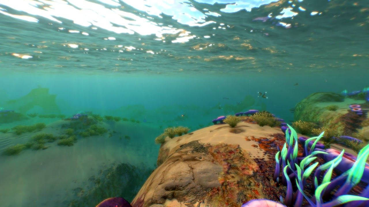探索《Subnautica》的水下世界 壁紙 — 陽光穿過碧綠色的海水，照亮了生長在岩石海底的鮮豔紫色和綠色珊瑚。