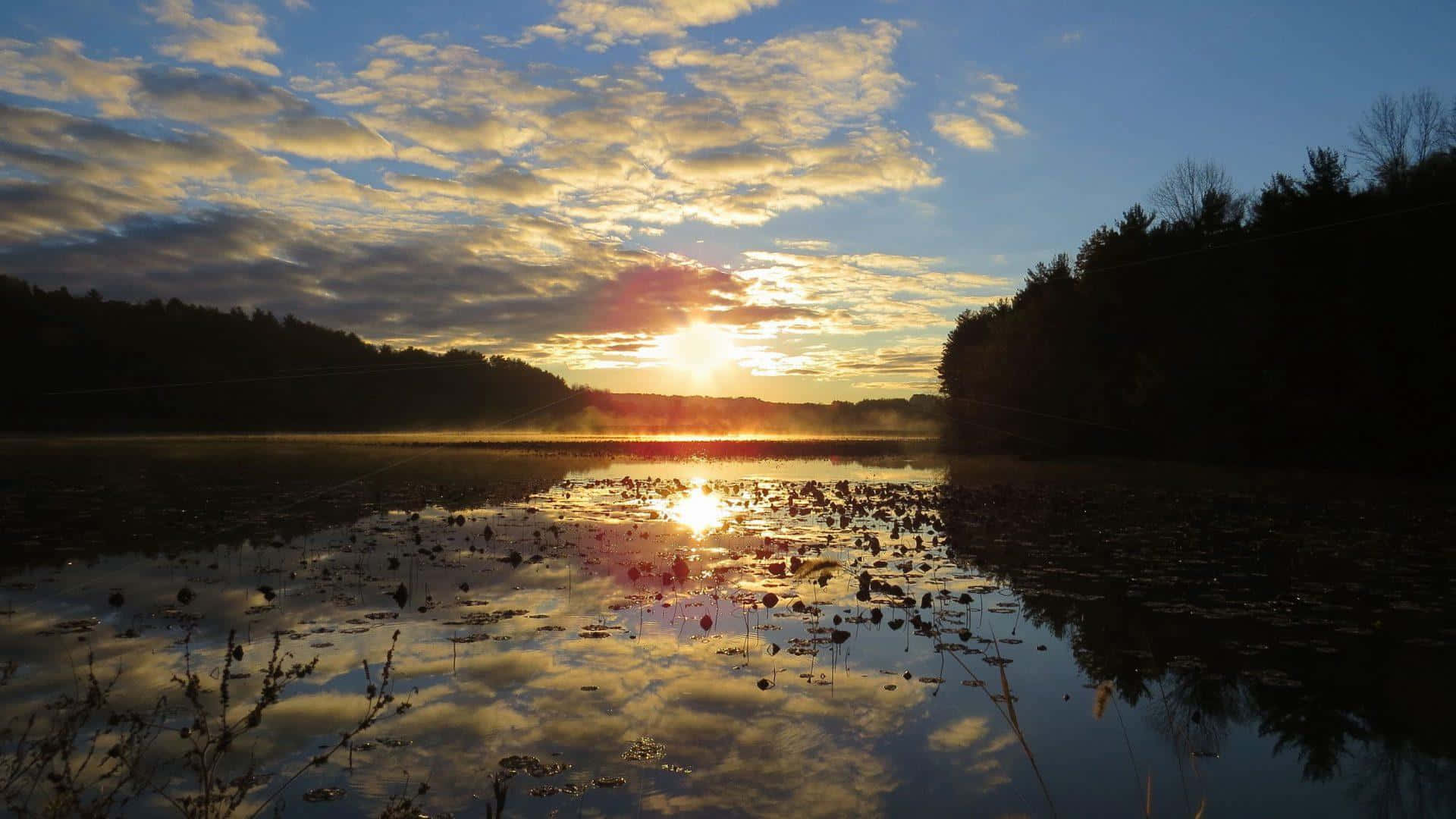 Sunset Reflection 桌布 壁紙 — 日出在秋天的霧氣湖面上閃耀，映照著金色的雲朵和樹木的剪影。