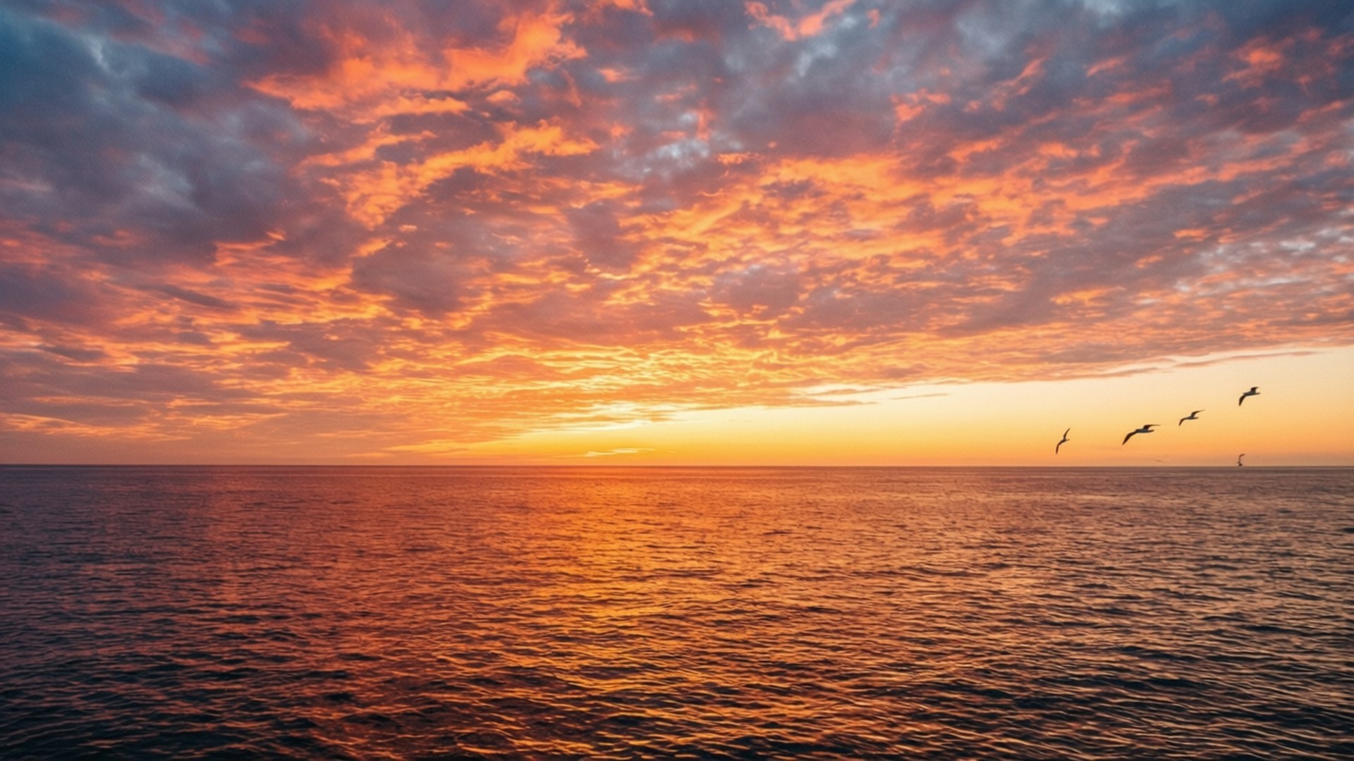 五隻鳥在鮮豔的夕陽下排成隊形飛翔在平靜的海洋上空。