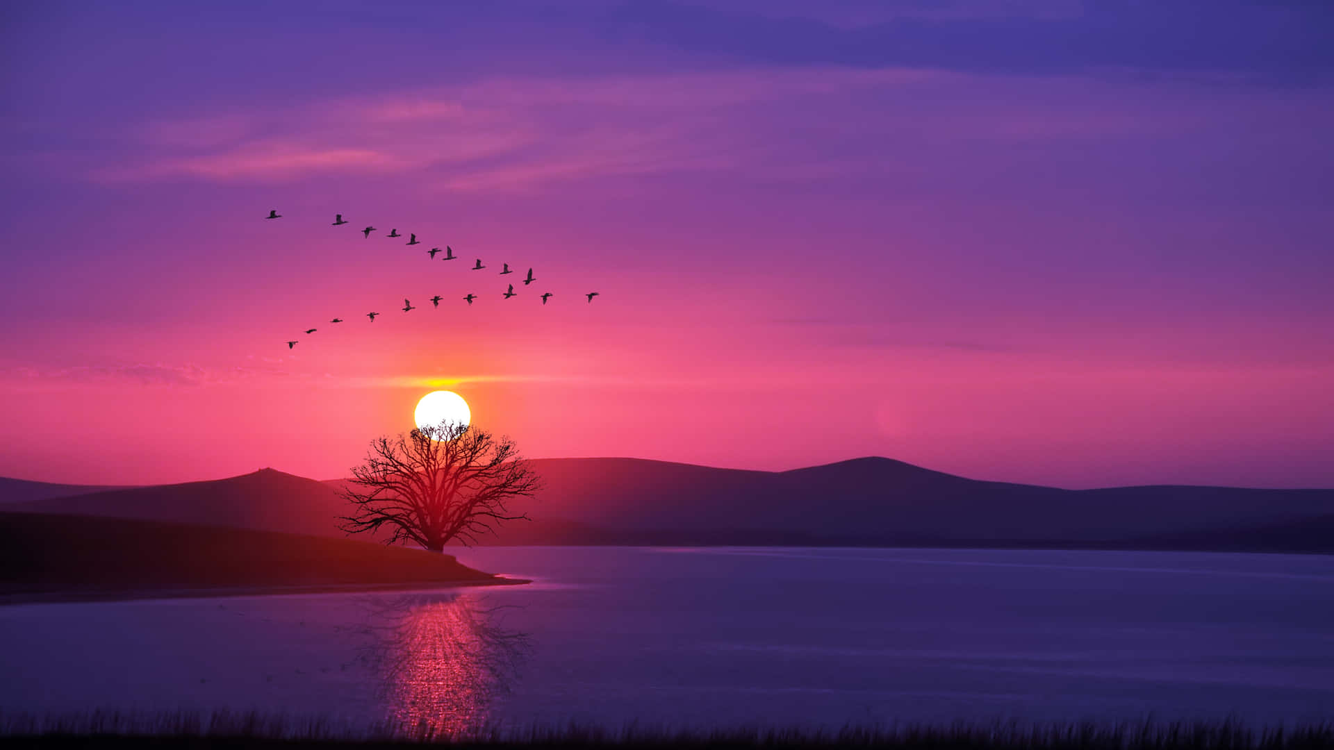 一棵孤樹在湖岸邊夕陽下，鳥兒在紫色粉紅色天空中飛翔