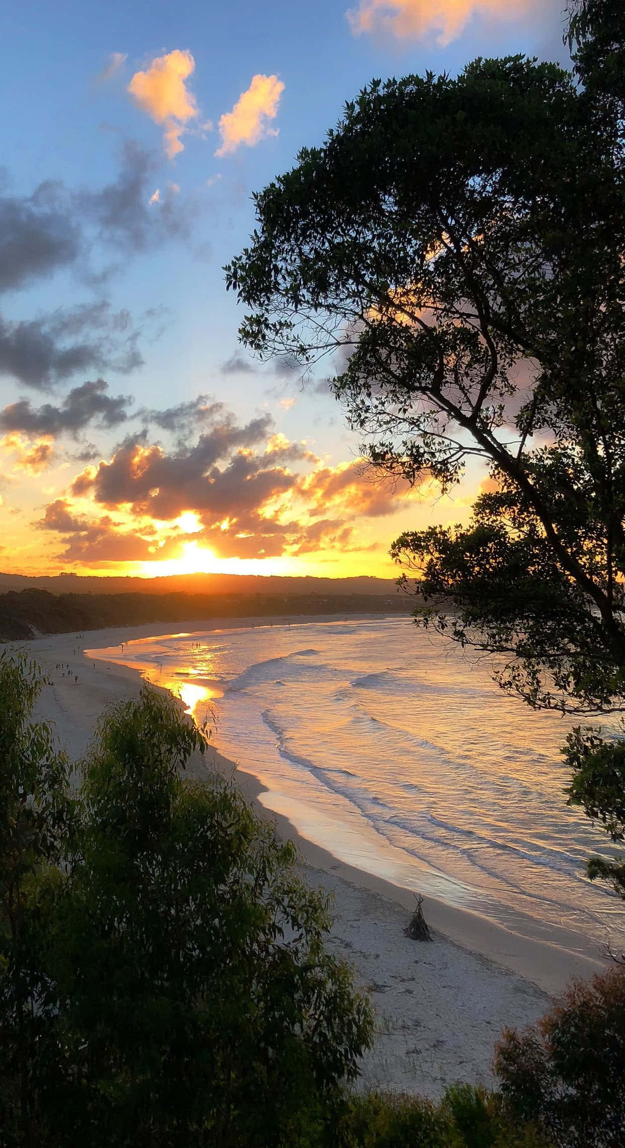 Coastal Sunset 桌布 壁紙 — 夕陽將天空染成火熱的橙色和金色，海浪輕輕拍打著沙灘，沙灘被樹木的剪影環繞。