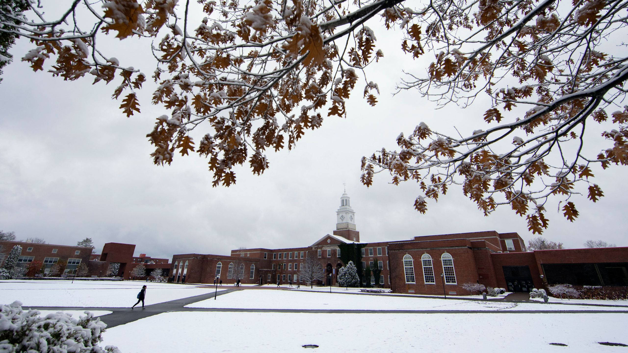 布法羅大學 SUNY 冬季校園 壁紙 — 白雪覆蓋大學校園，磚砌建築和橡樹在陰天天空下保留著最後的秋葉。
