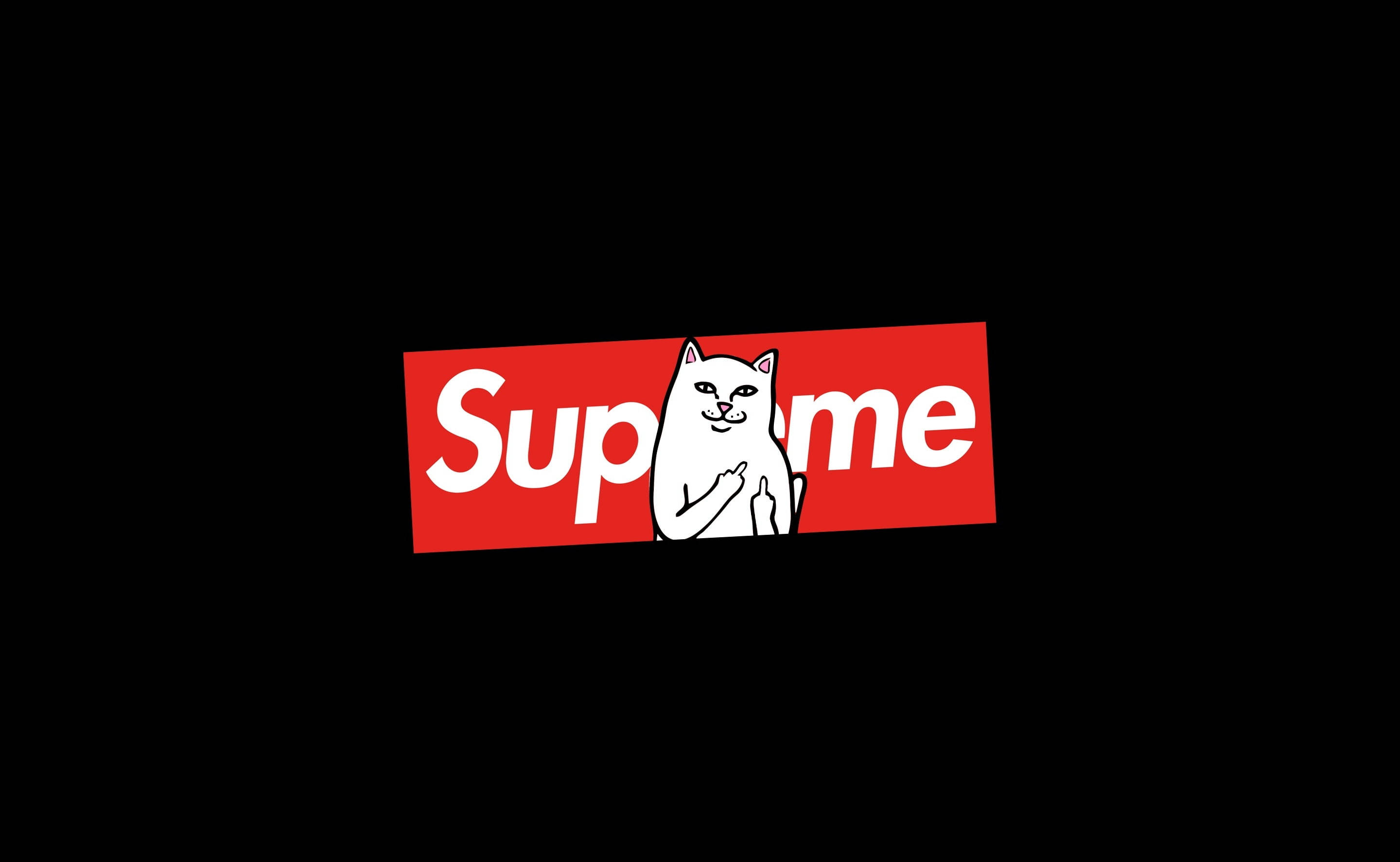 貓咪坐 Supreme 筆記本電腦上 壁紙 — 一隻白色卡通貓咪帶著頑皮的笑容和豎起的中指，坐在黑色背景上傾斜的紅色Supreme標誌內。