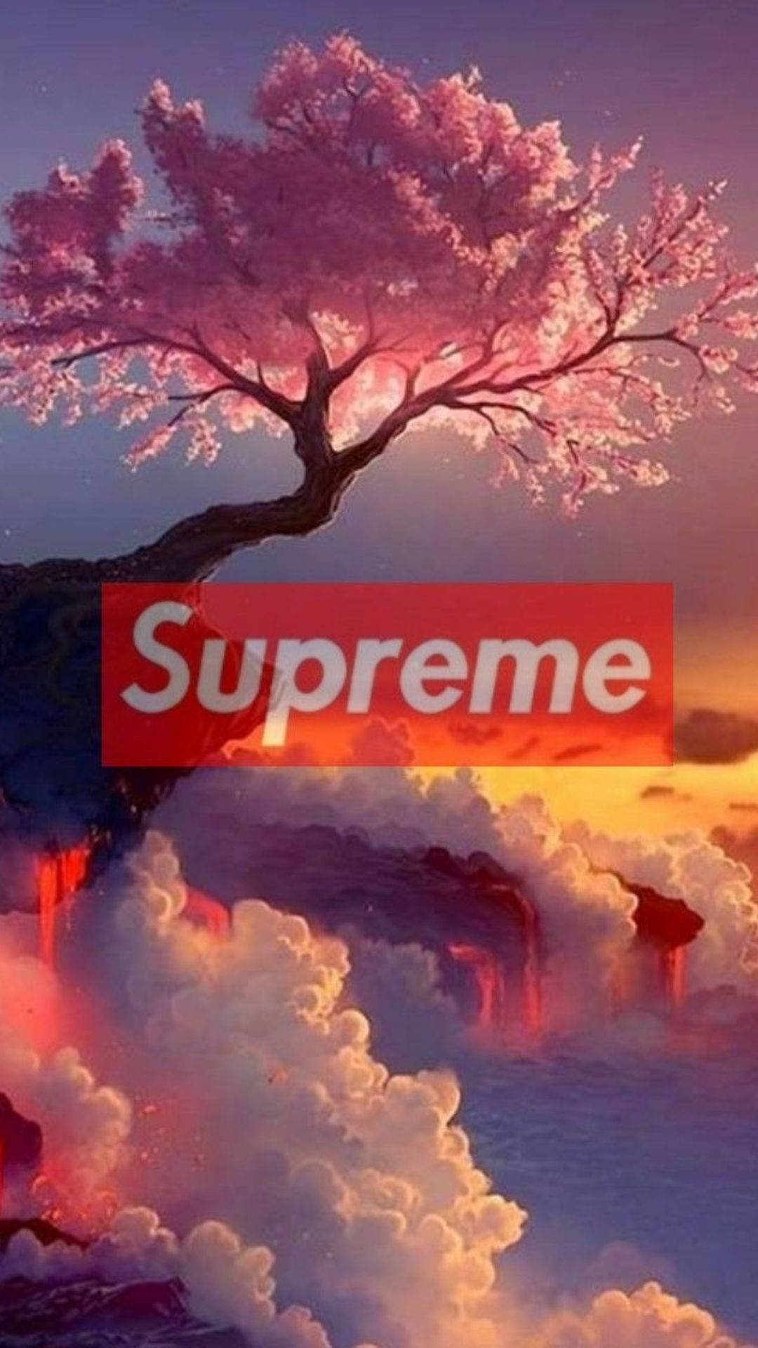 櫻花樹與橙色 supreme 雲彩 壁紙 — 櫻花樹在火紅的日落天空下盛開，紅色Supreme標誌疊加在旋轉的雲層上。