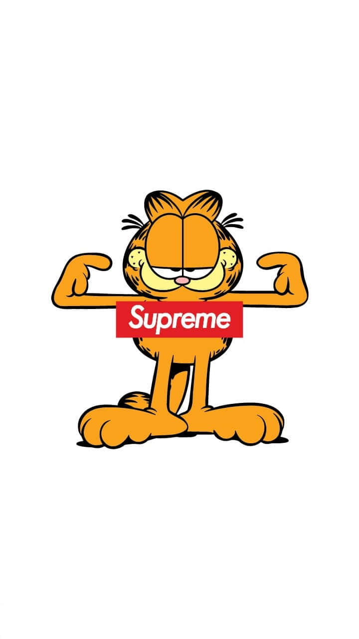 動感 Supreme 風格卡通 壁紙 — 加菲貓卡通貓在純白色背景前展示肌肉，同時手持紅色Supreme標誌牌。