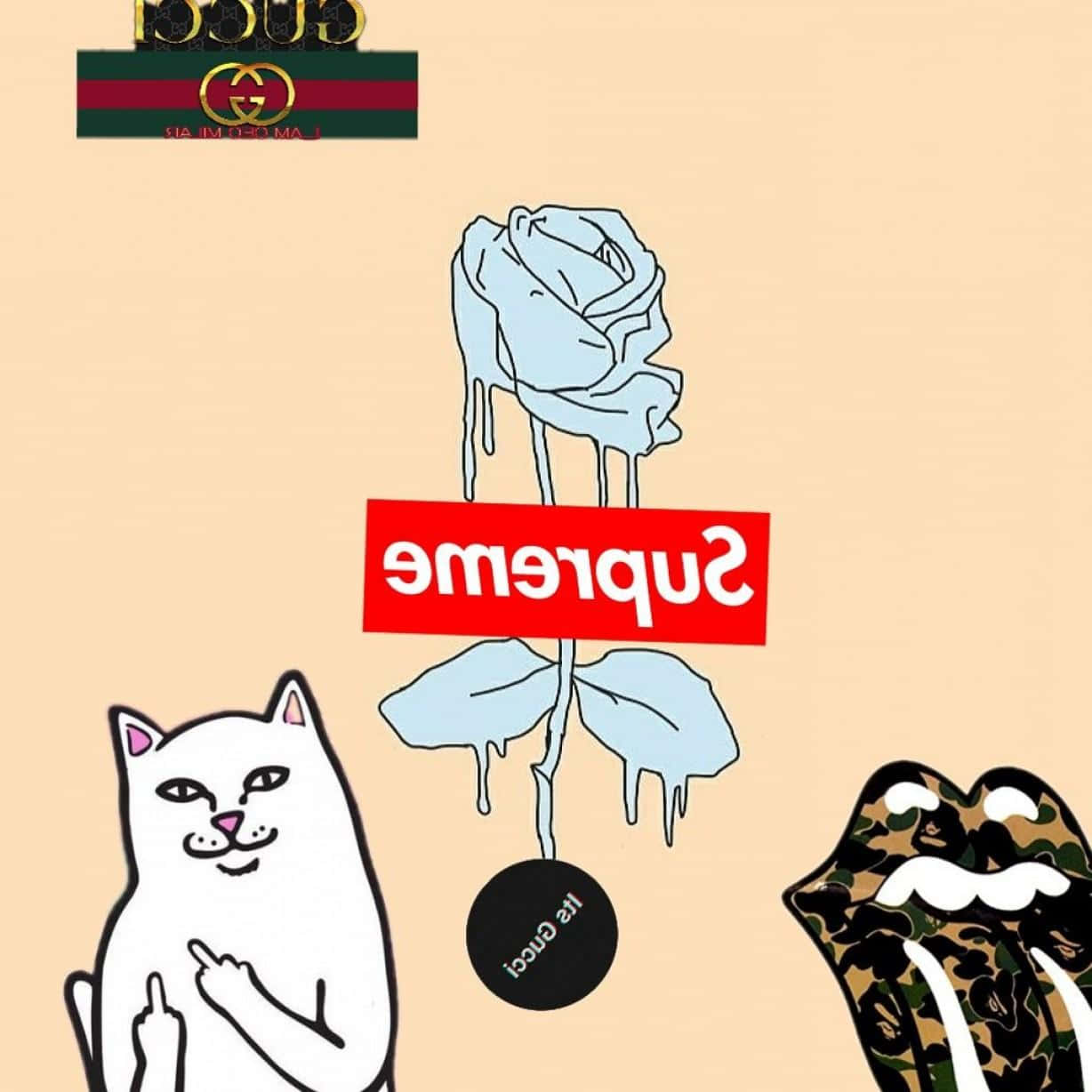 supreme x gucci - 貓與玫瑰 壁紙