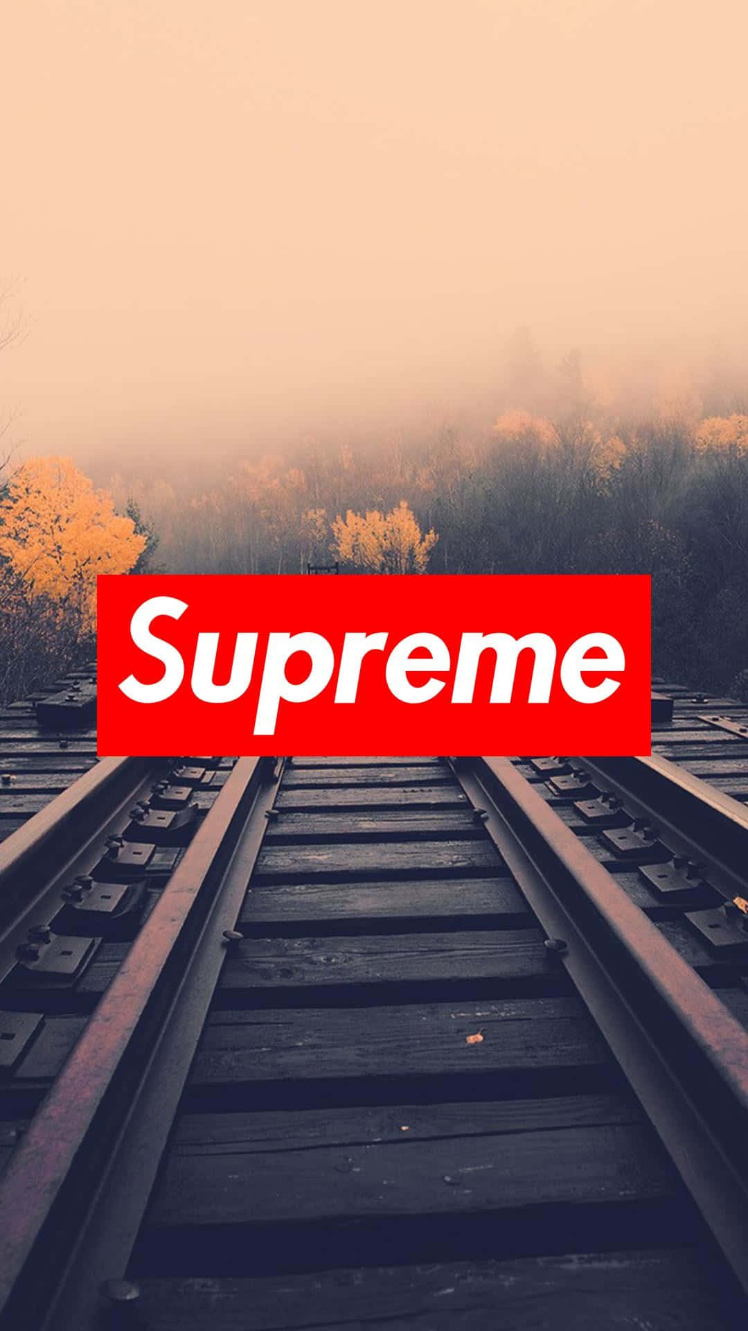 鐵路軌道穿過霧氣瀰漫的秋林，帶有紅色Supreme標誌疊加。
