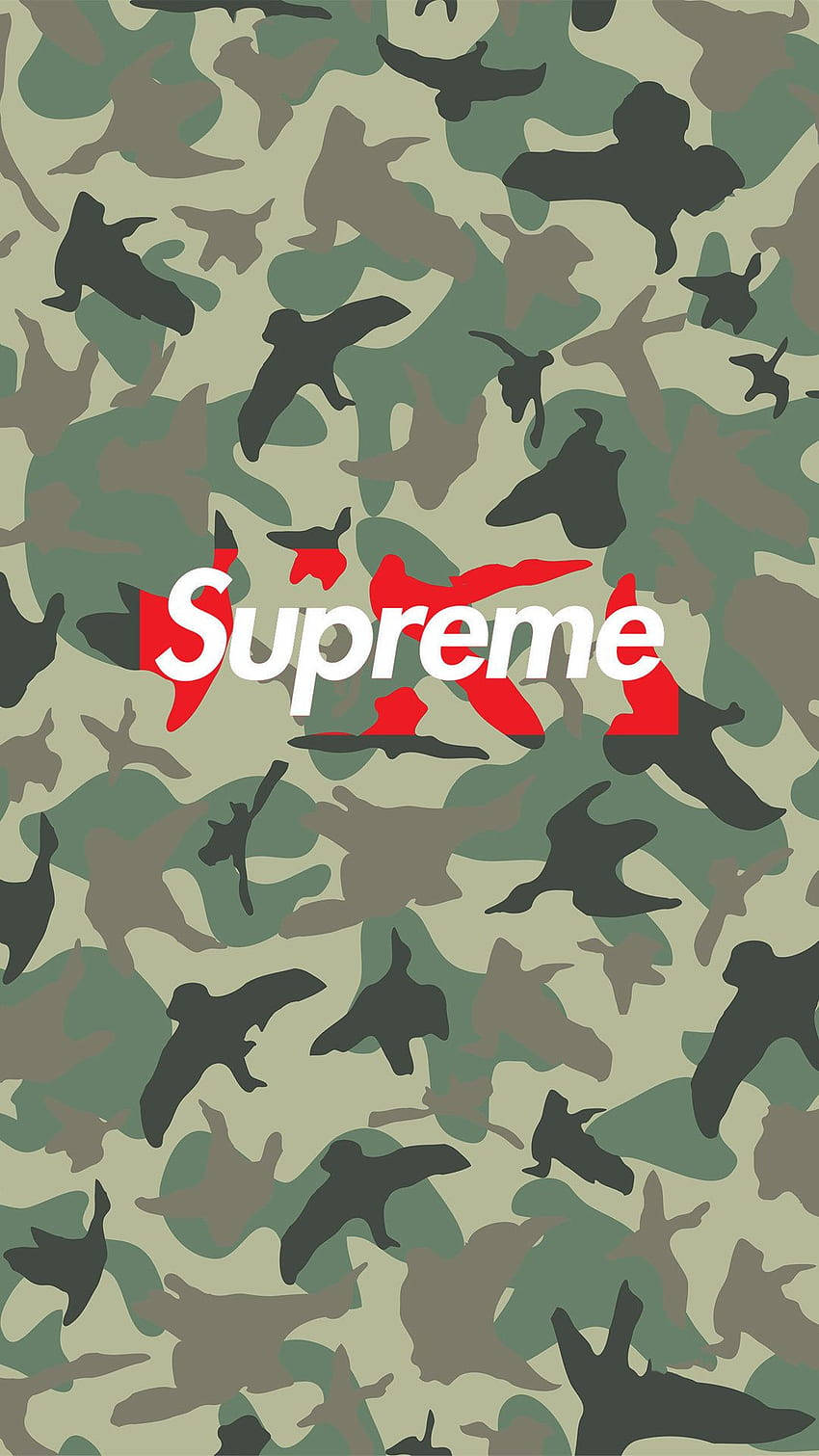 帶有黑色鳥類剪影和紅白 Supreme 標誌的迷彩背景。