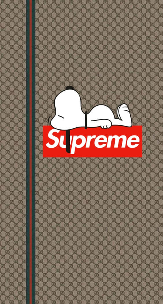 史努比躺喺紅色Supreme標誌上面，背景係Gucci圖案。
