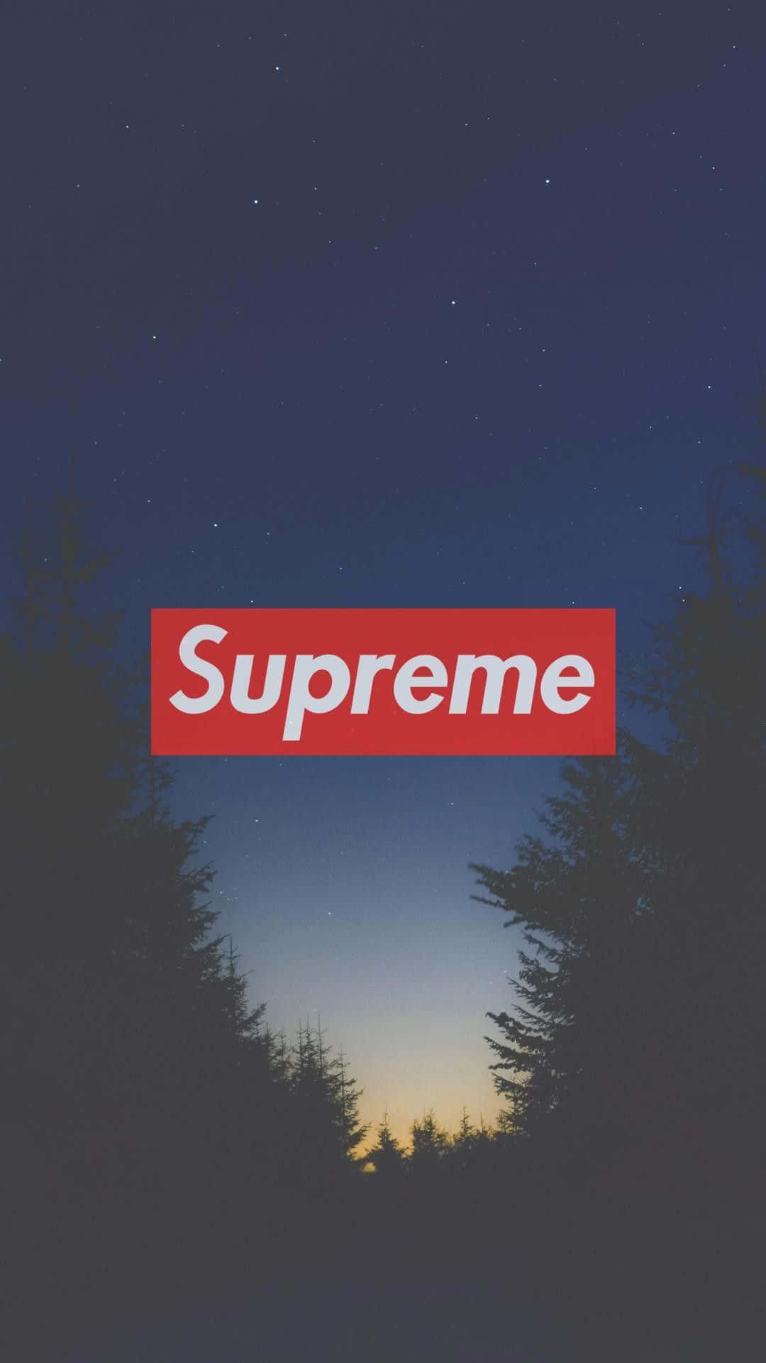 Supreme標誌居中於暮色森林場景上方，伴有星星。