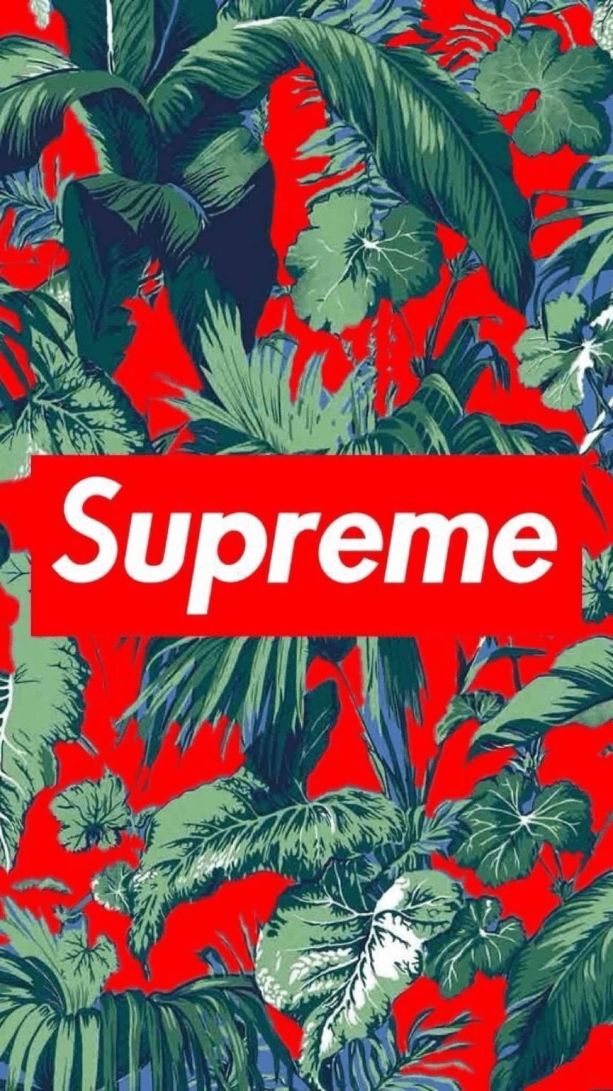 Supreme標誌於葉片 壁紙 — 充滿活力的紅色背景，茂密的綠色熱帶葉片和一個大膽的白色Supreme標誌居中。