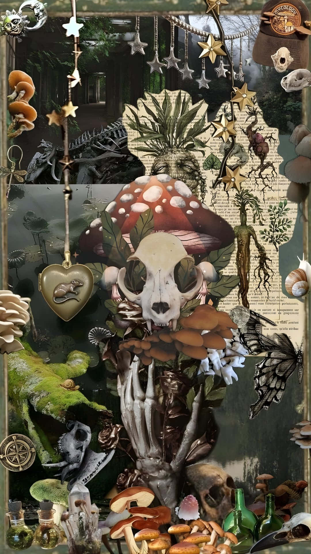 壁紙 — 一幅超現實拼貼畫，描繪一隻骷髏手拿著一個蘑菇頭顱，周圍環繞著真菌、星星和復古植物插圖。
