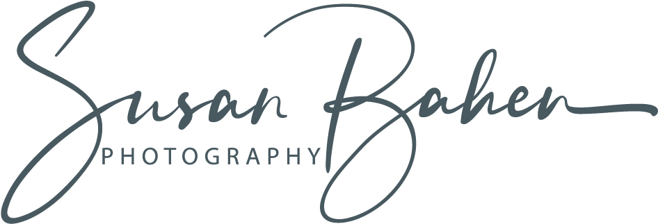 Susan Baken 攝影工作室標誌 壁紙 — 黑色背景上 Susan Bahen Photography 的優雅灰色草書簽名。