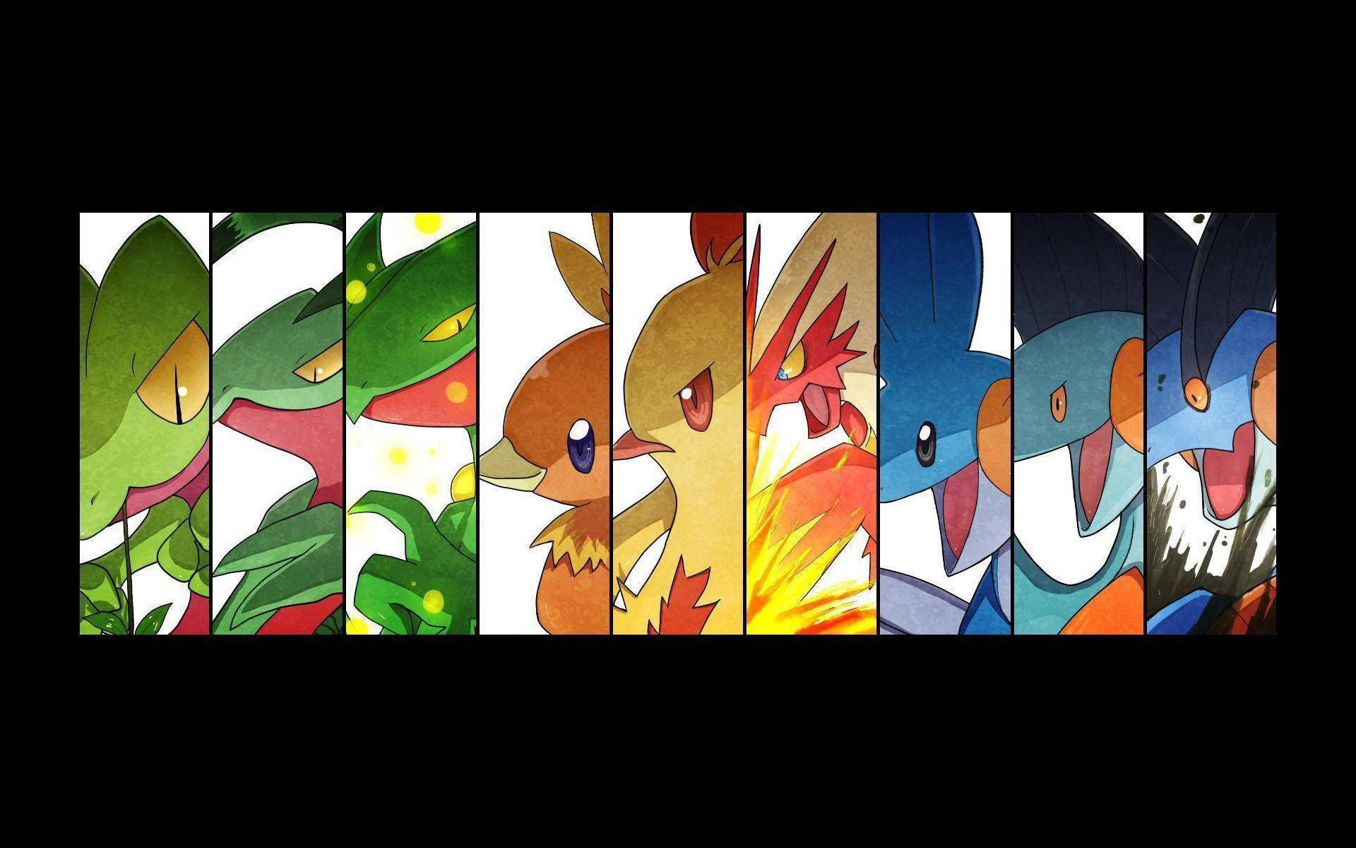 Swampert 與元素進化 壁紙 — 一個充滿活力的動漫風格壁紙，展示七隻寶可夢在黑色背景上從左到右進化。