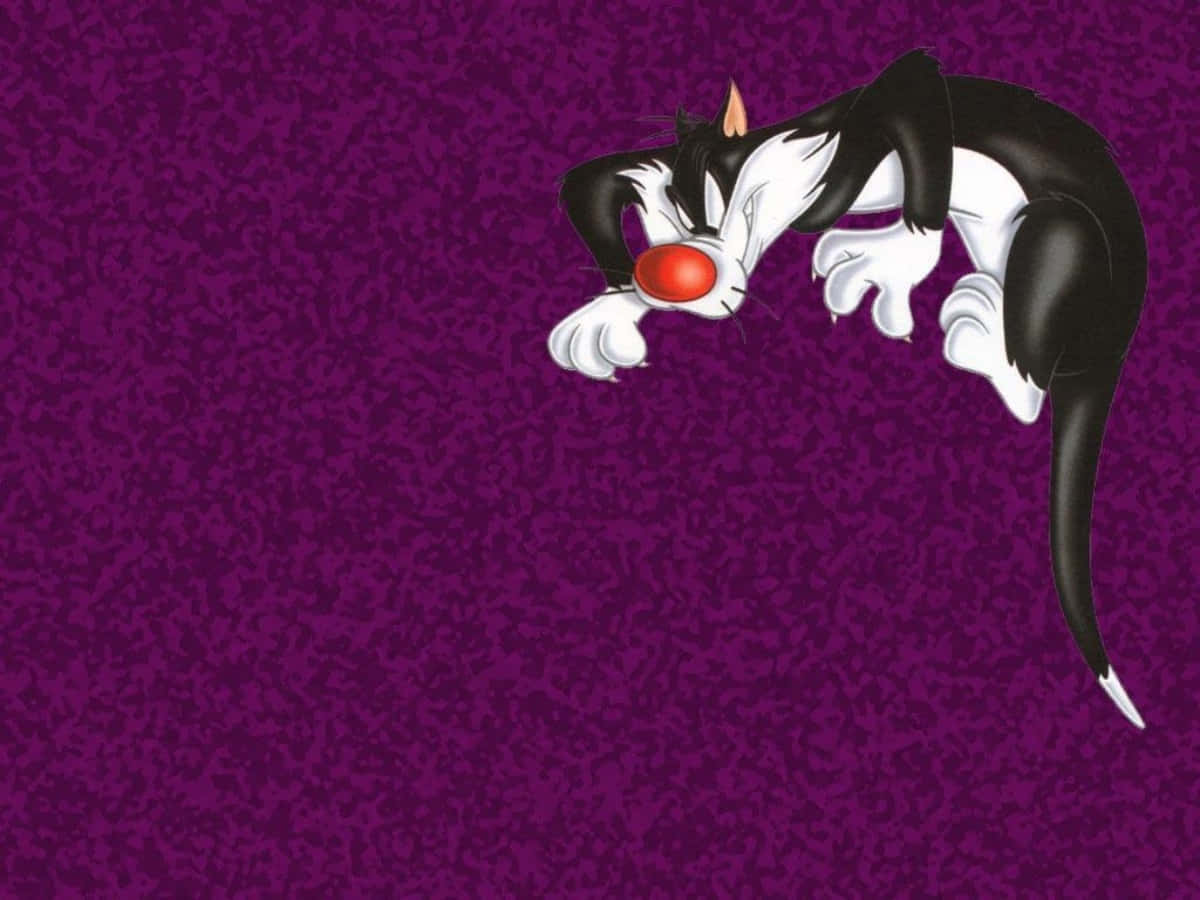 經典的 Sylvester the Cat 照片 壁紙 — 一隻黑白毛色、紅鼻子的卡通貓咪，在帶有紋理的紫色背景前懶洋洋地伸懶腰。