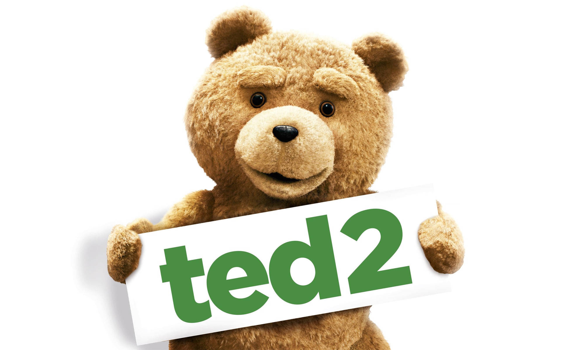 毛茸茸的棕色泰迪熊拿著一個白色牌子，上面用綠色字母寫著 ted2。