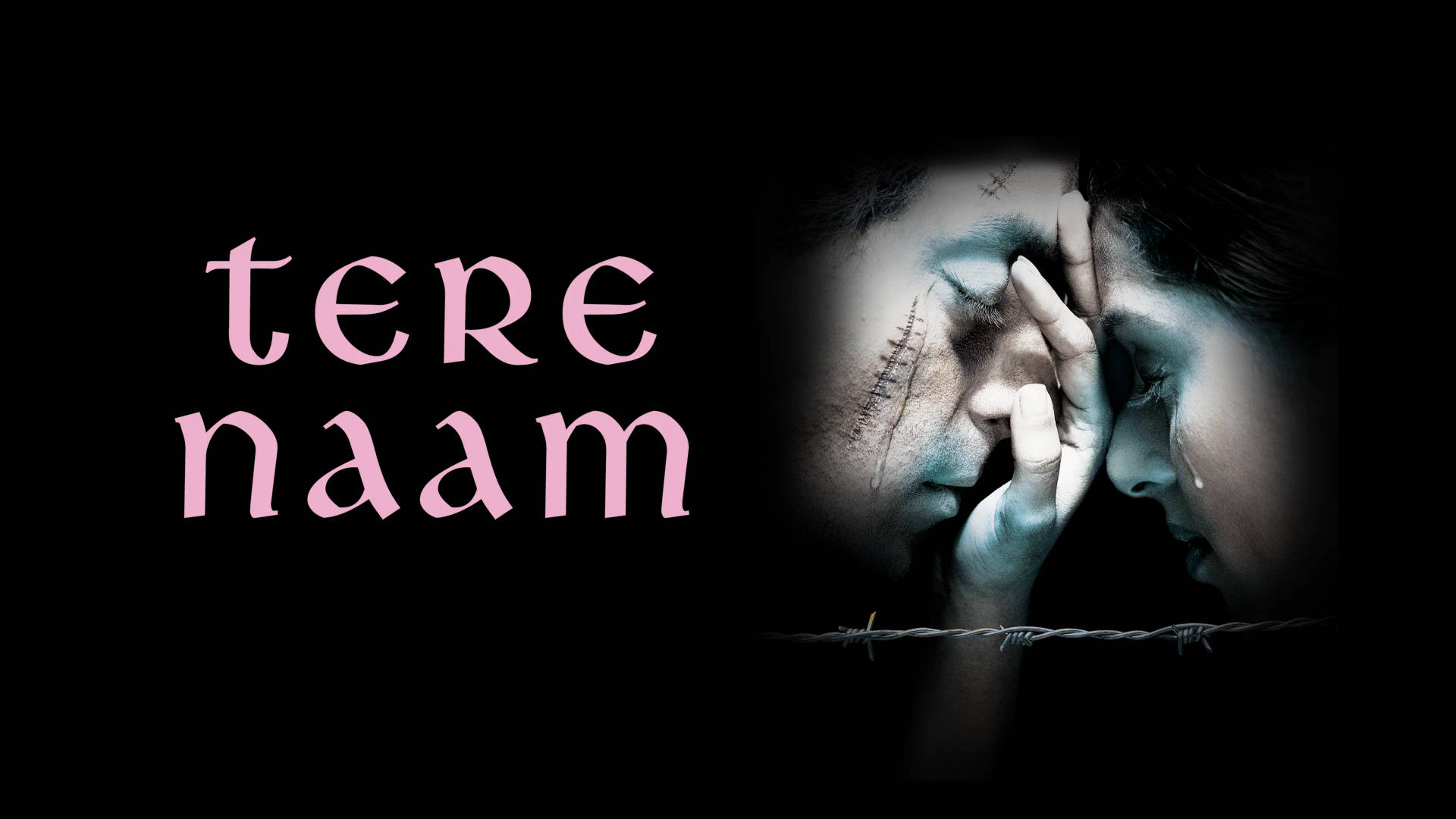 兩個痛苦的戀人隔著鐵絲網緊貼在一起，帶有粉紅色文字 tere naam。