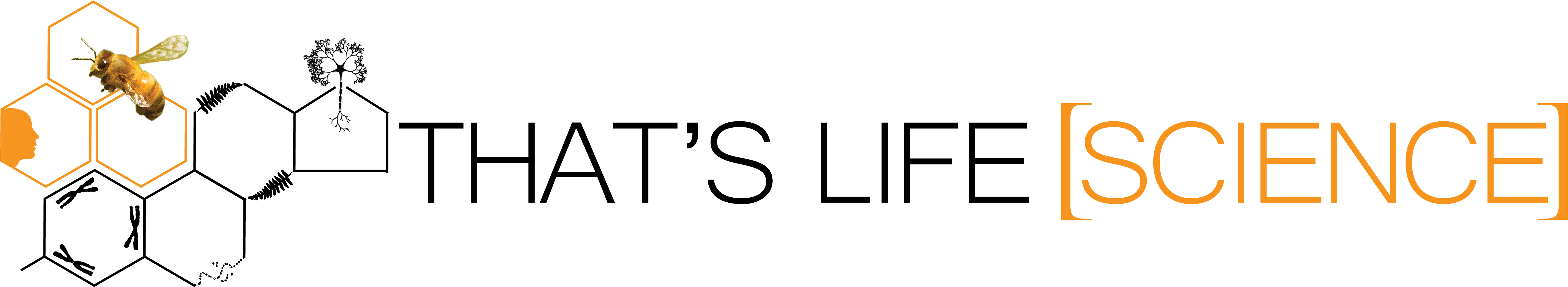 That's Life Science 標誌 壁紙 — 一隻發光的橙色蜜蜂懸浮在蜂巢六邊形上方，旁邊是匹配的橙色單詞 science，背景為黑色。
