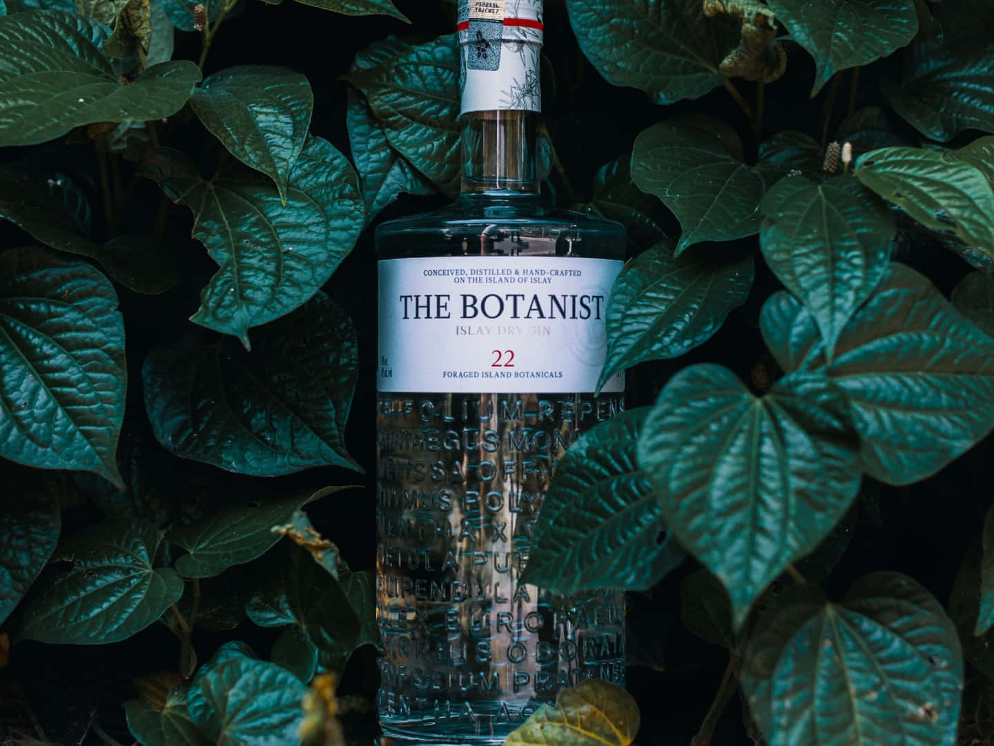 Botanist 氈酒瓶被濃密的綠色樹葉包圍，光線昏暗。